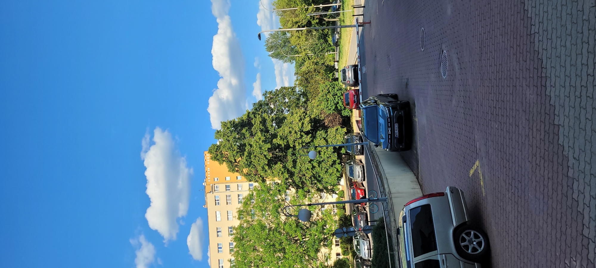 Roses, parked cars, and a modern building in Warsaw