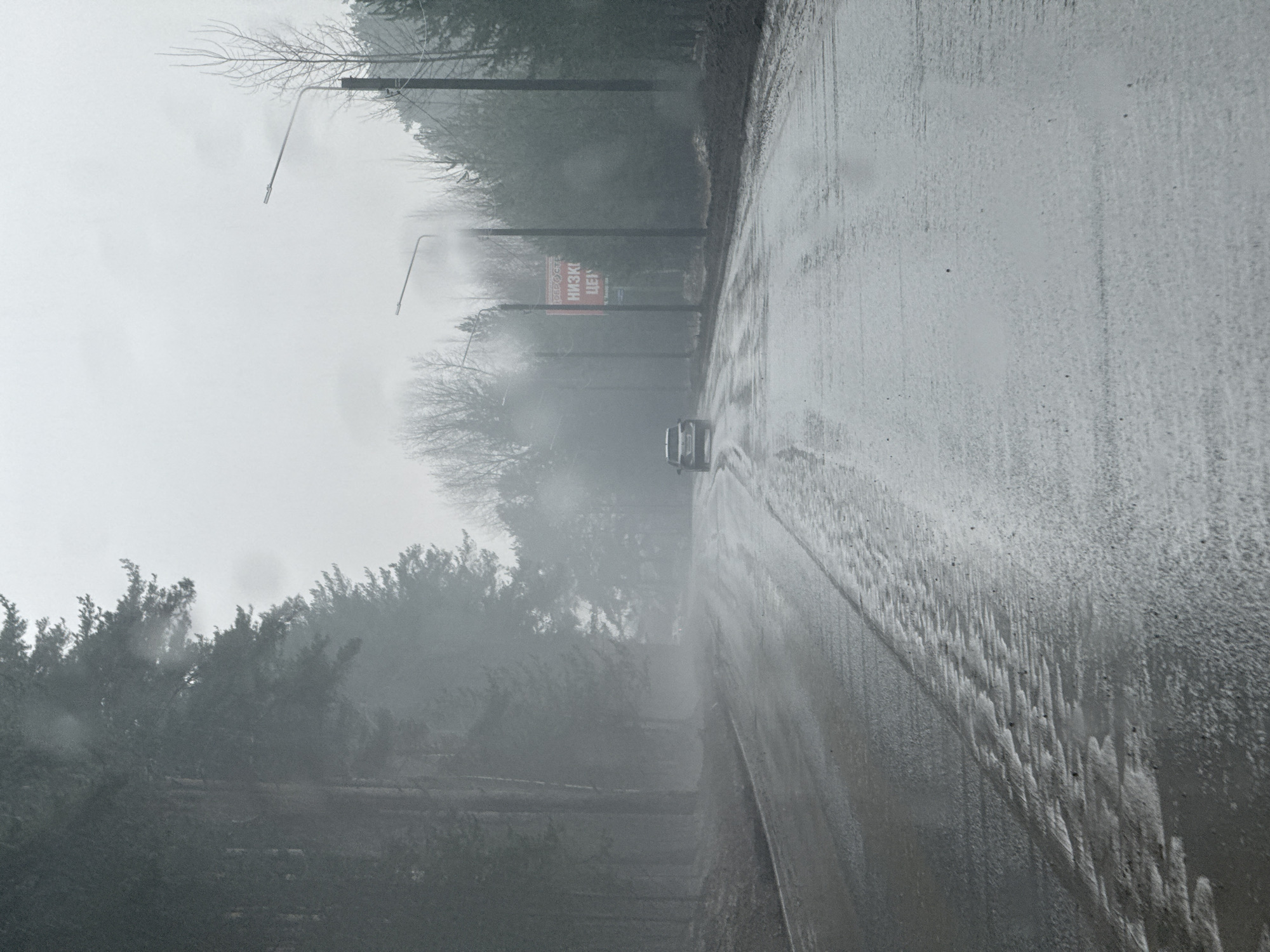 Foggy road conditions and playful moments captured in Chaikovsky