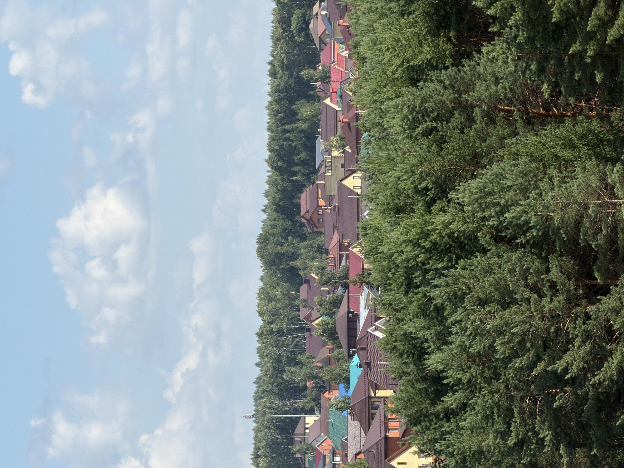 Russian suburb: forest canopy, apartment blocks, and delivery trucks