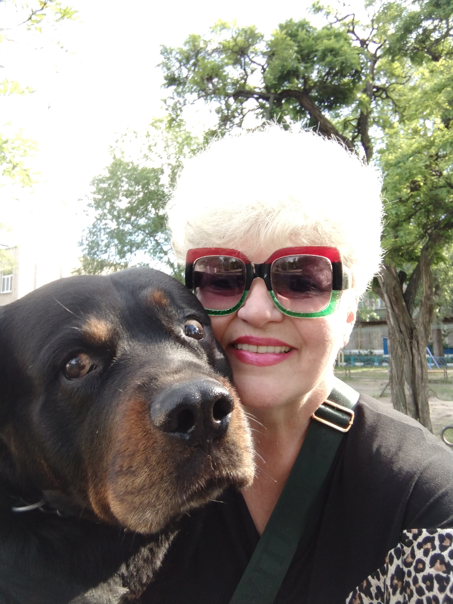 Woman and Rottweiler enjoy morning playtime in Ukrainian city