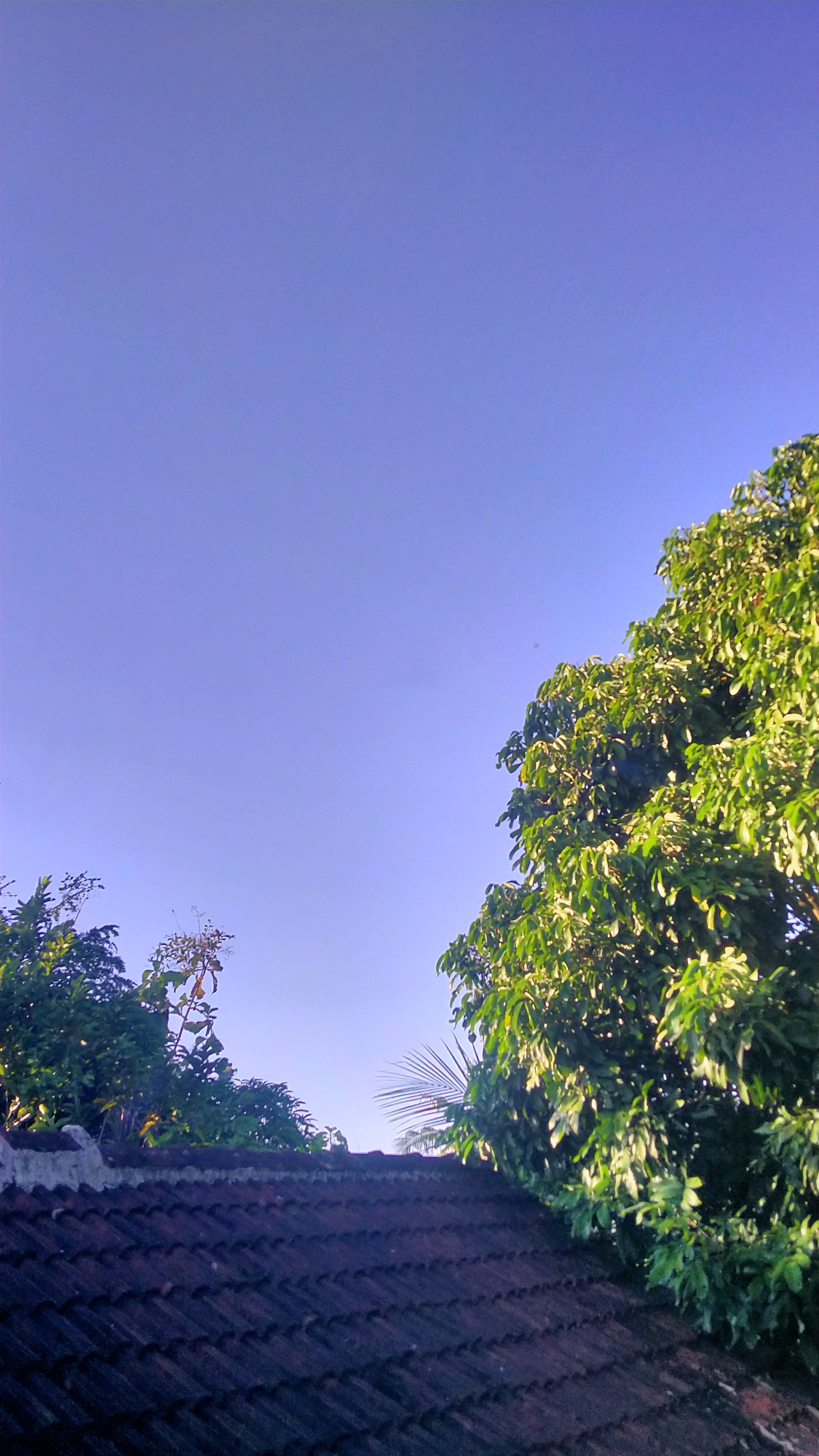 Everyday home life across two Central Java villages
