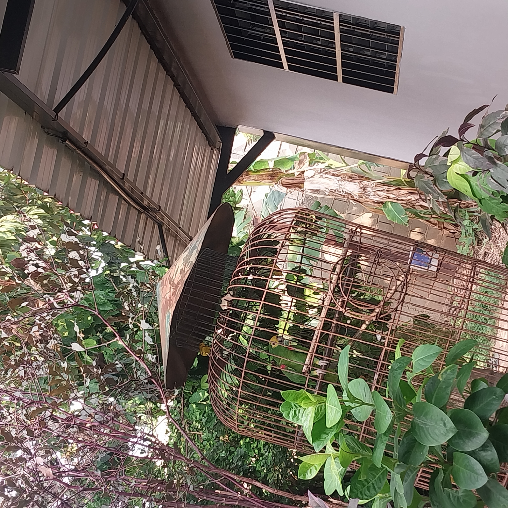 Residential scenes and digital images captured in Tinaquillo, Venezuela