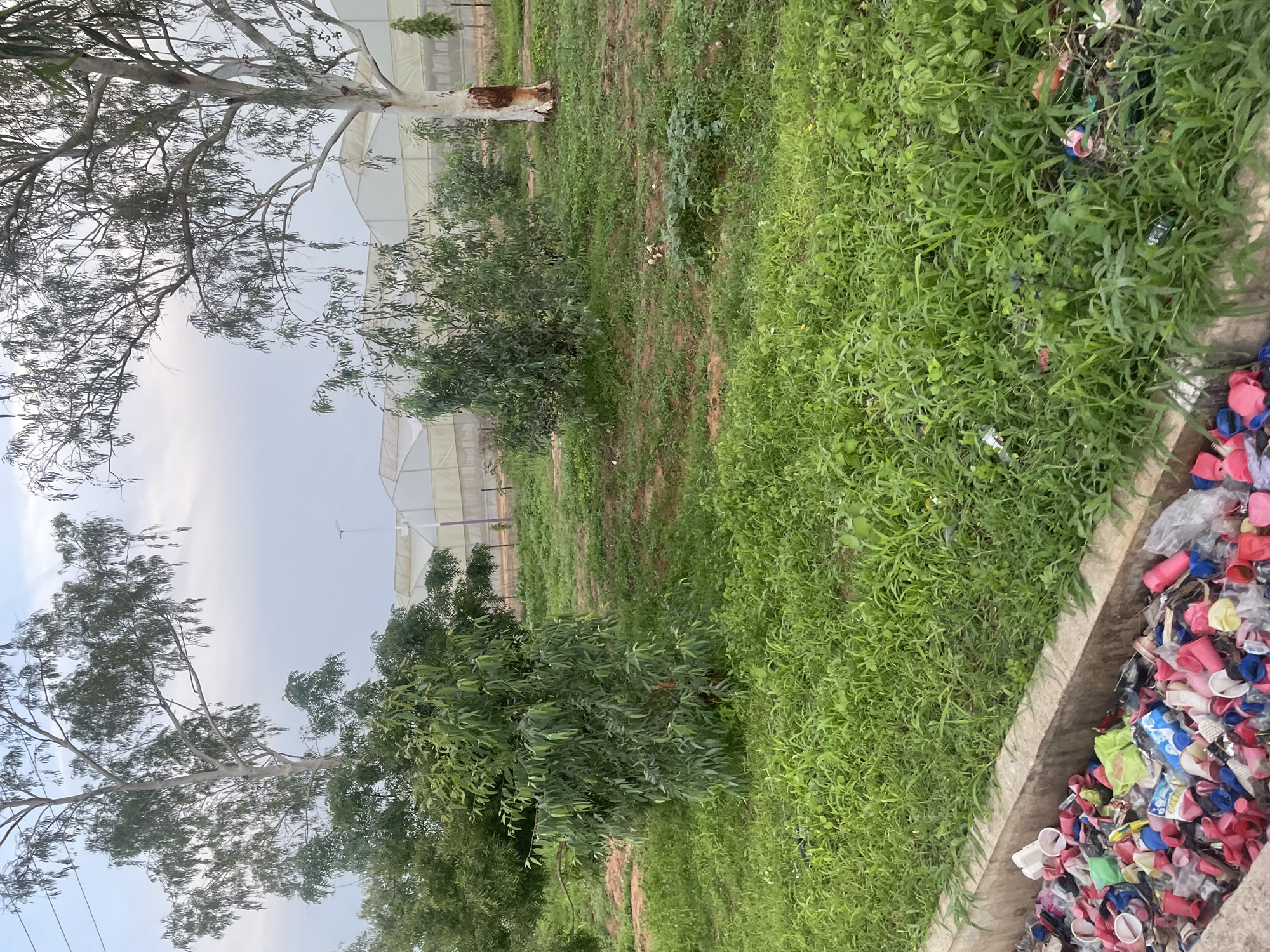 Plastic waste chokes a drainage channel in Jalingo, Nigeria