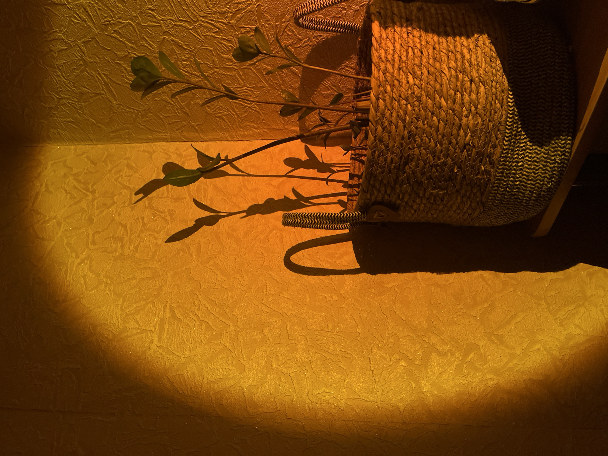 Evening scenes from Kyiv: indoor plants and nighttime street traffic