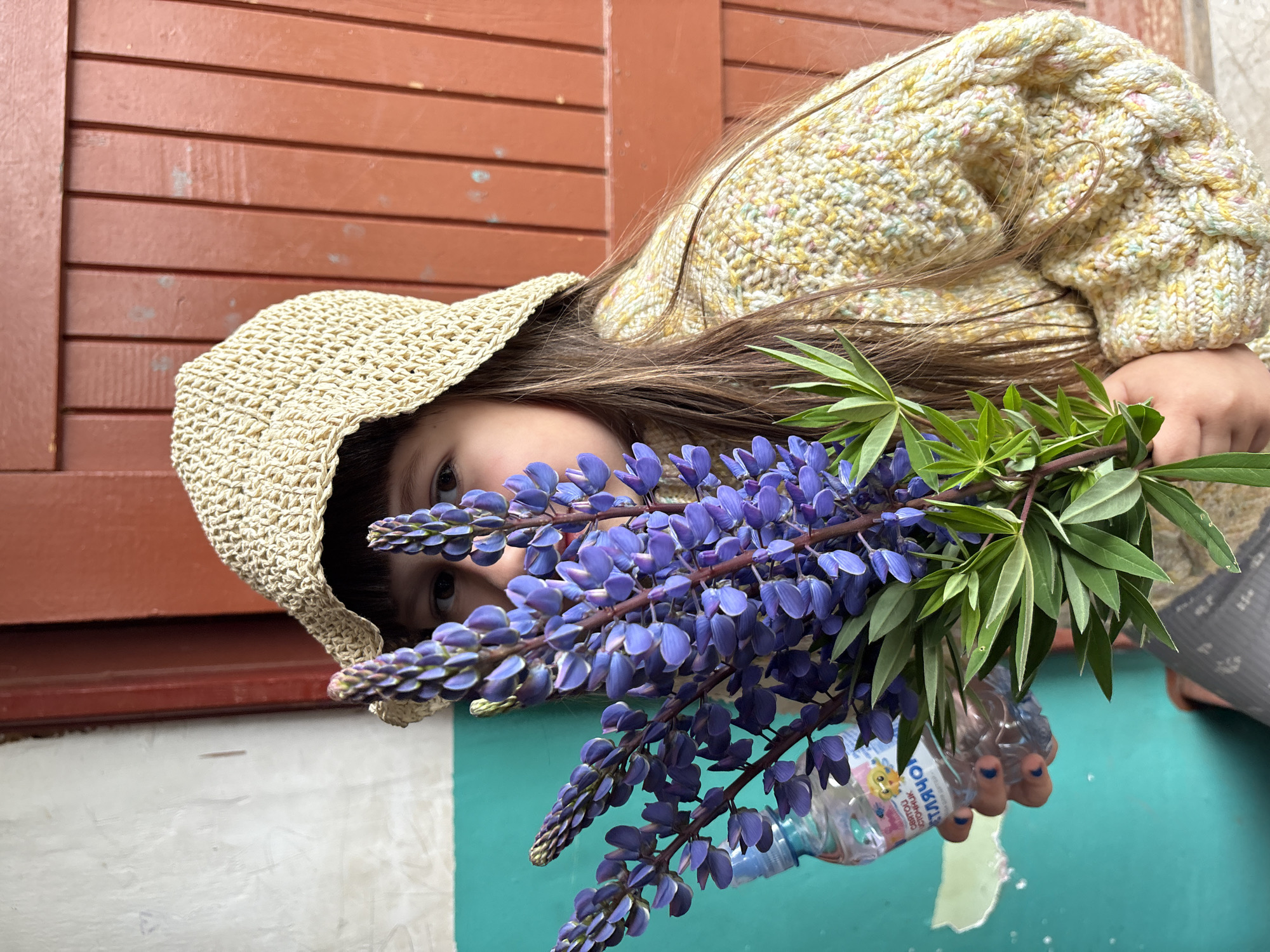 Child poses with purple flowers in Russian village