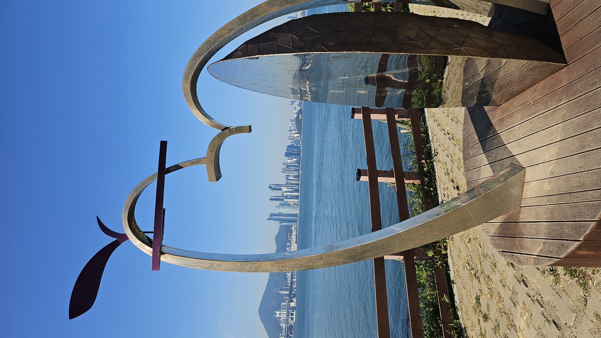 Morning observations capture Busan's scenic views and urban flora