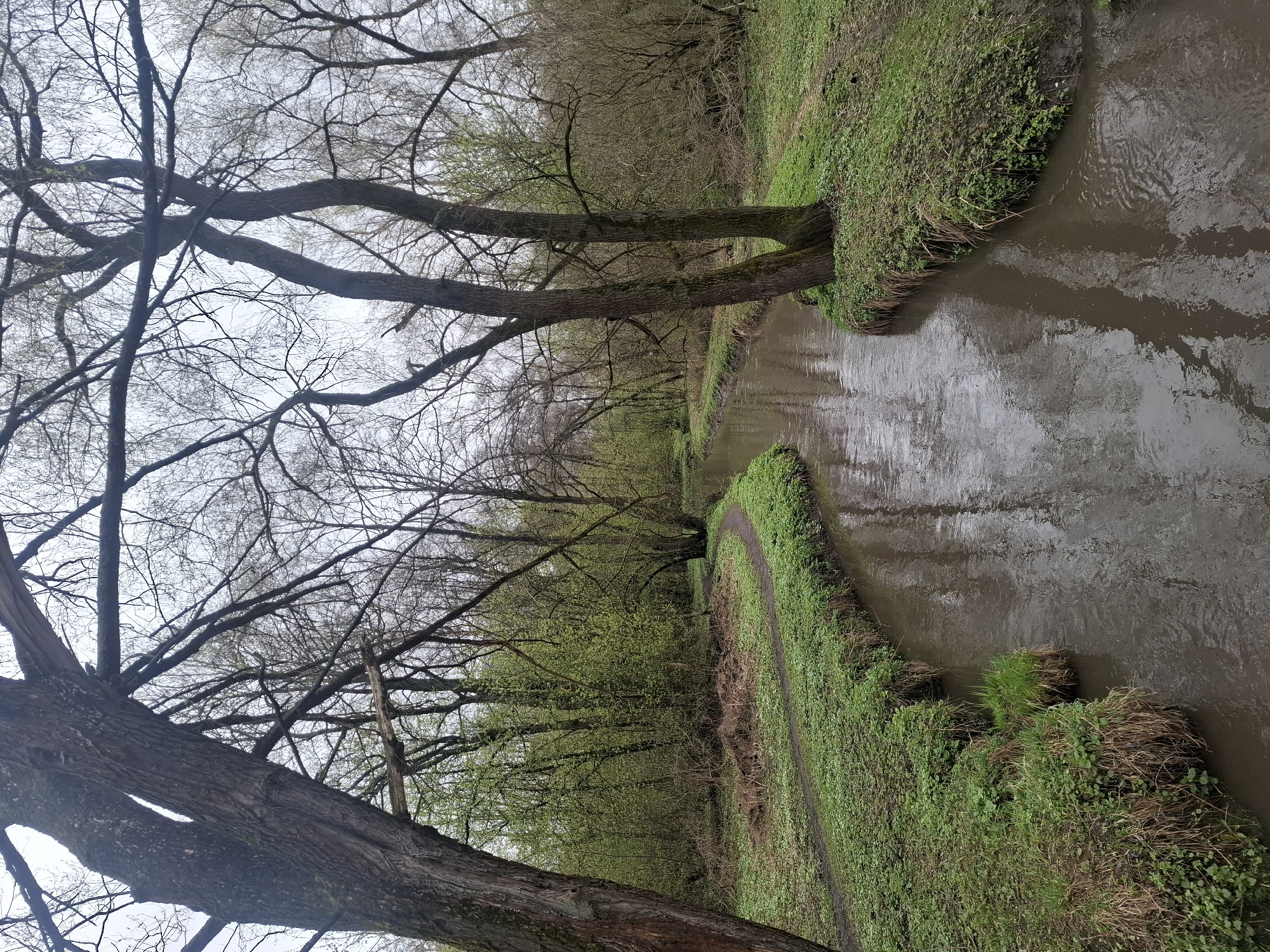 Moscow park scenes documented during overcast spring afternoon