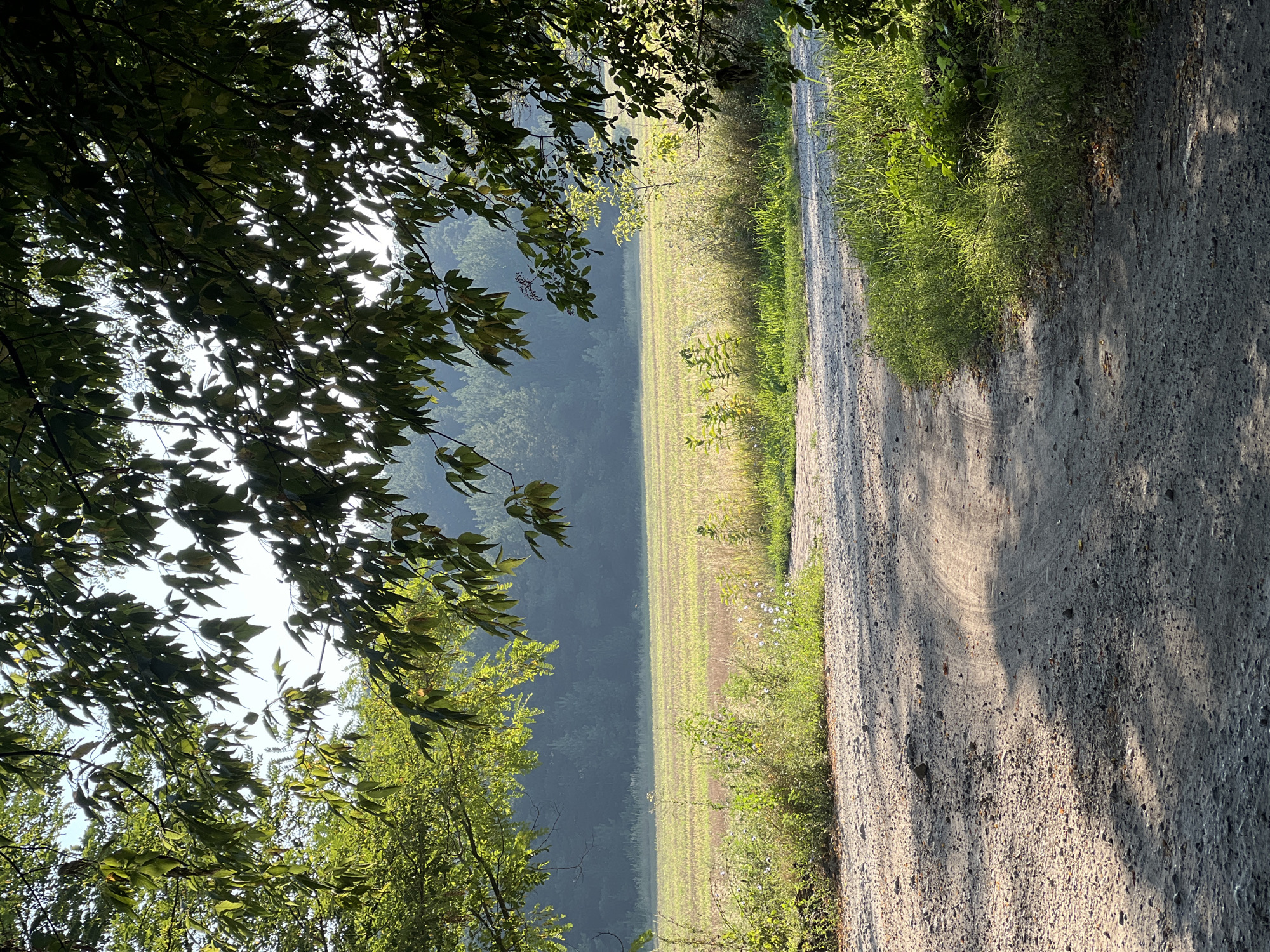 Selfie series on a shaded dirt road in natural light