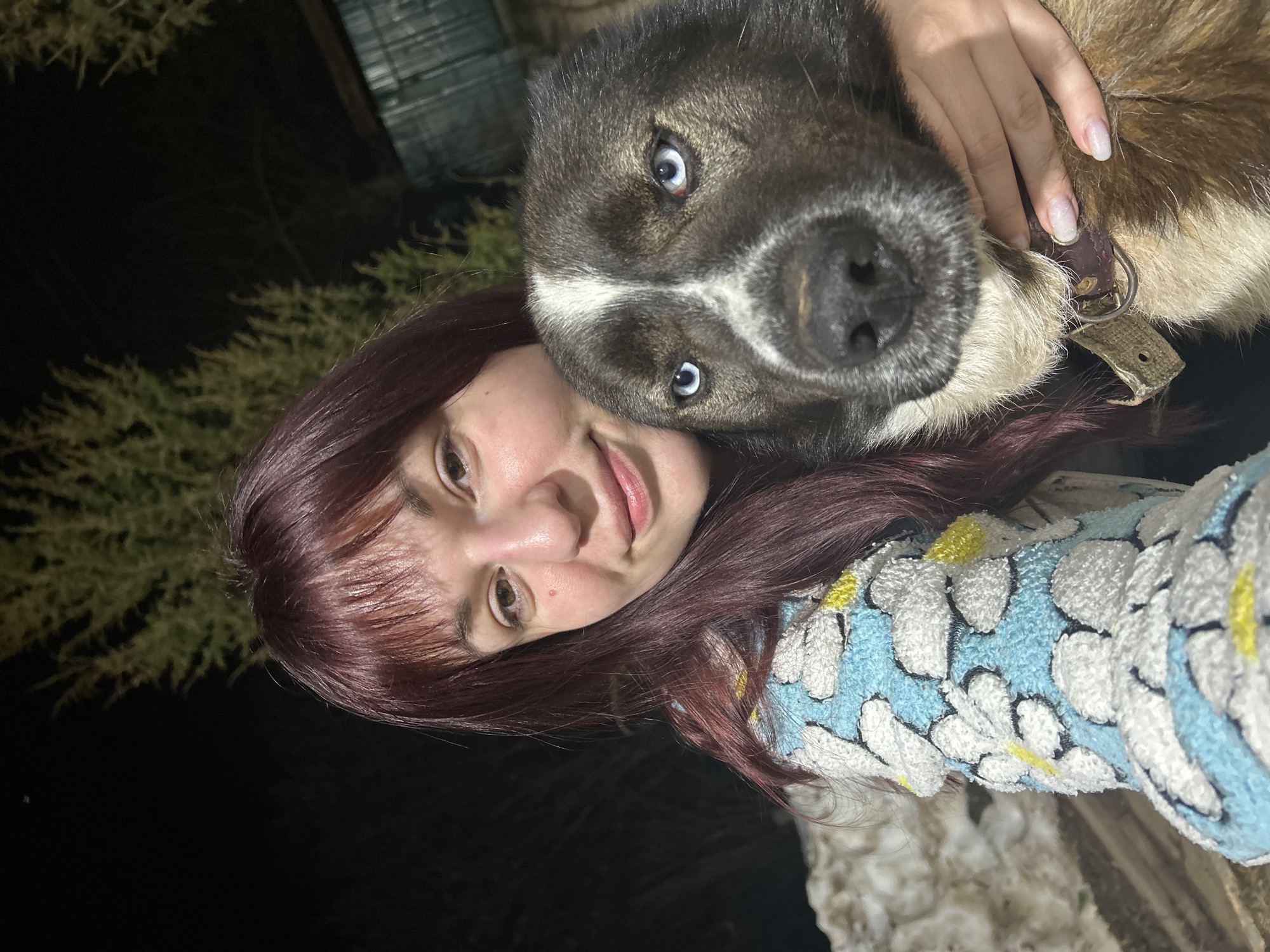Person poses with blue-eyed dog in Russian home