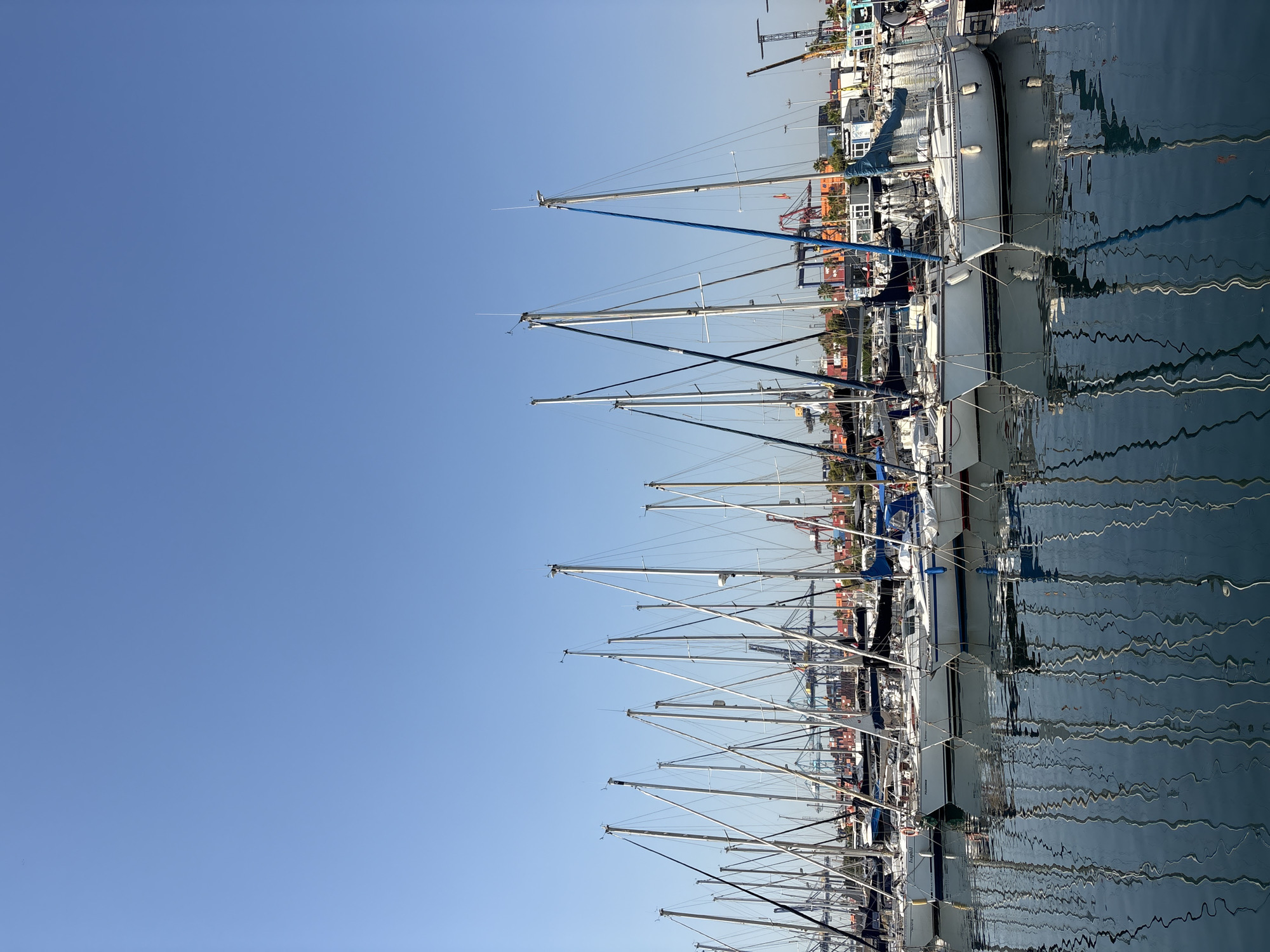 Coffee and sailboats at Valencia's marina on a clear morning