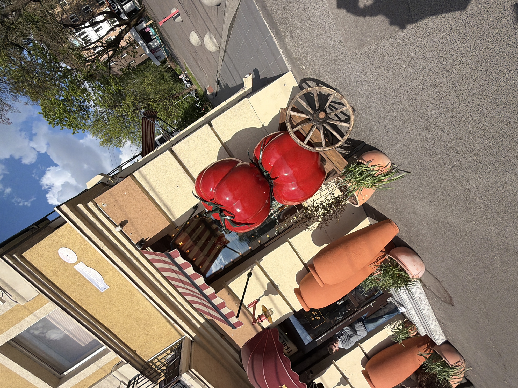 Kaliningrad street scenes capture storefronts, teddy bear display, fountain