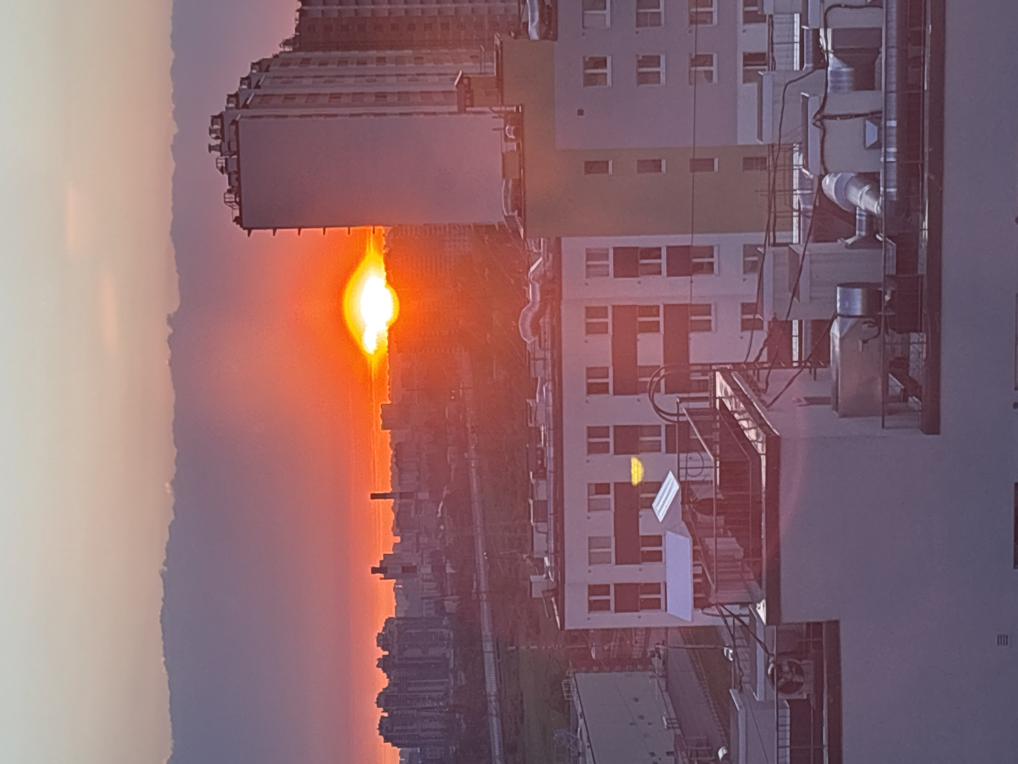 Sunset documented over Vsevolozhsk apartment buildings, cat observed indoors