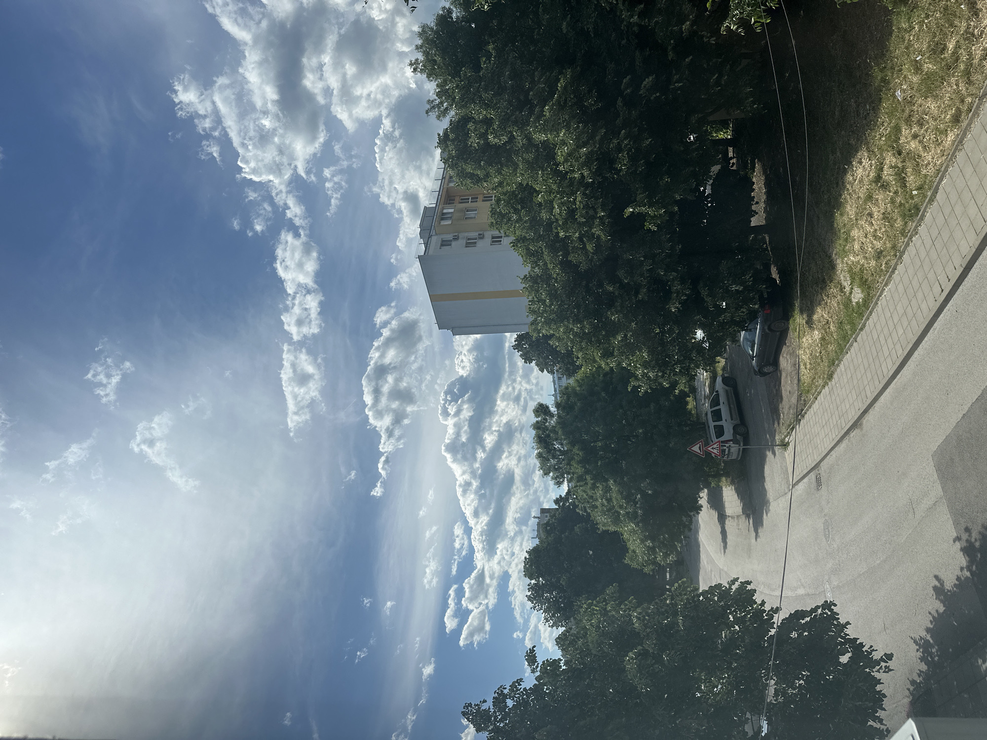 Urban street scene captured with trees and diagonal roadway