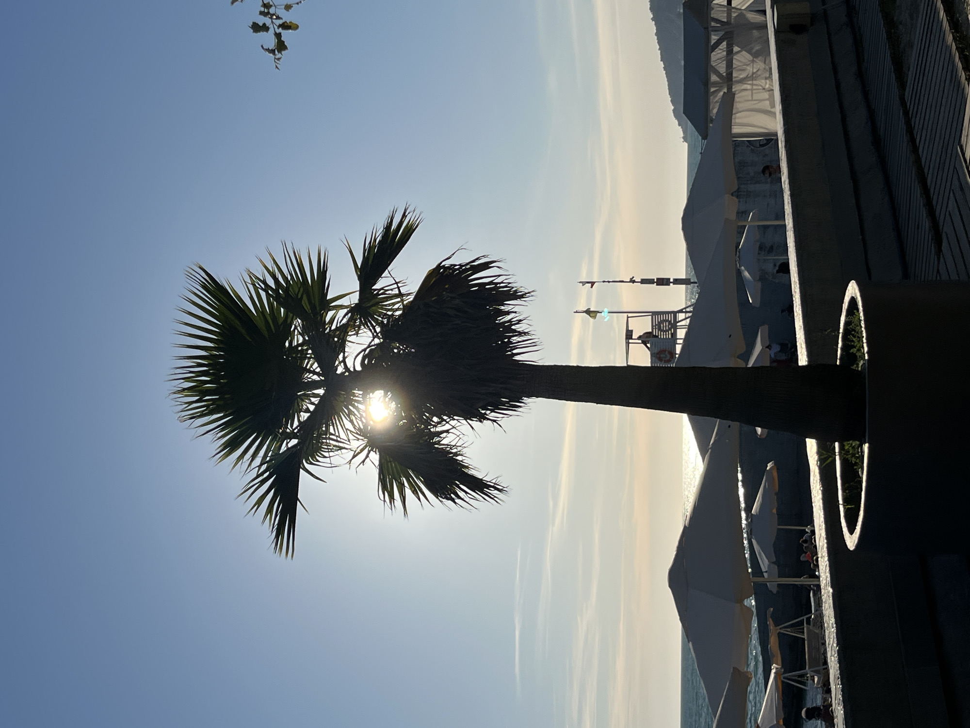 Summer afternoon on the Sochi seafront