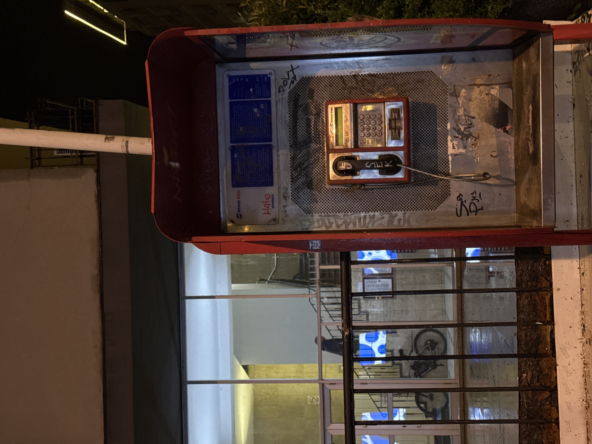 Evening street walk through Belgrade with dachshund companion