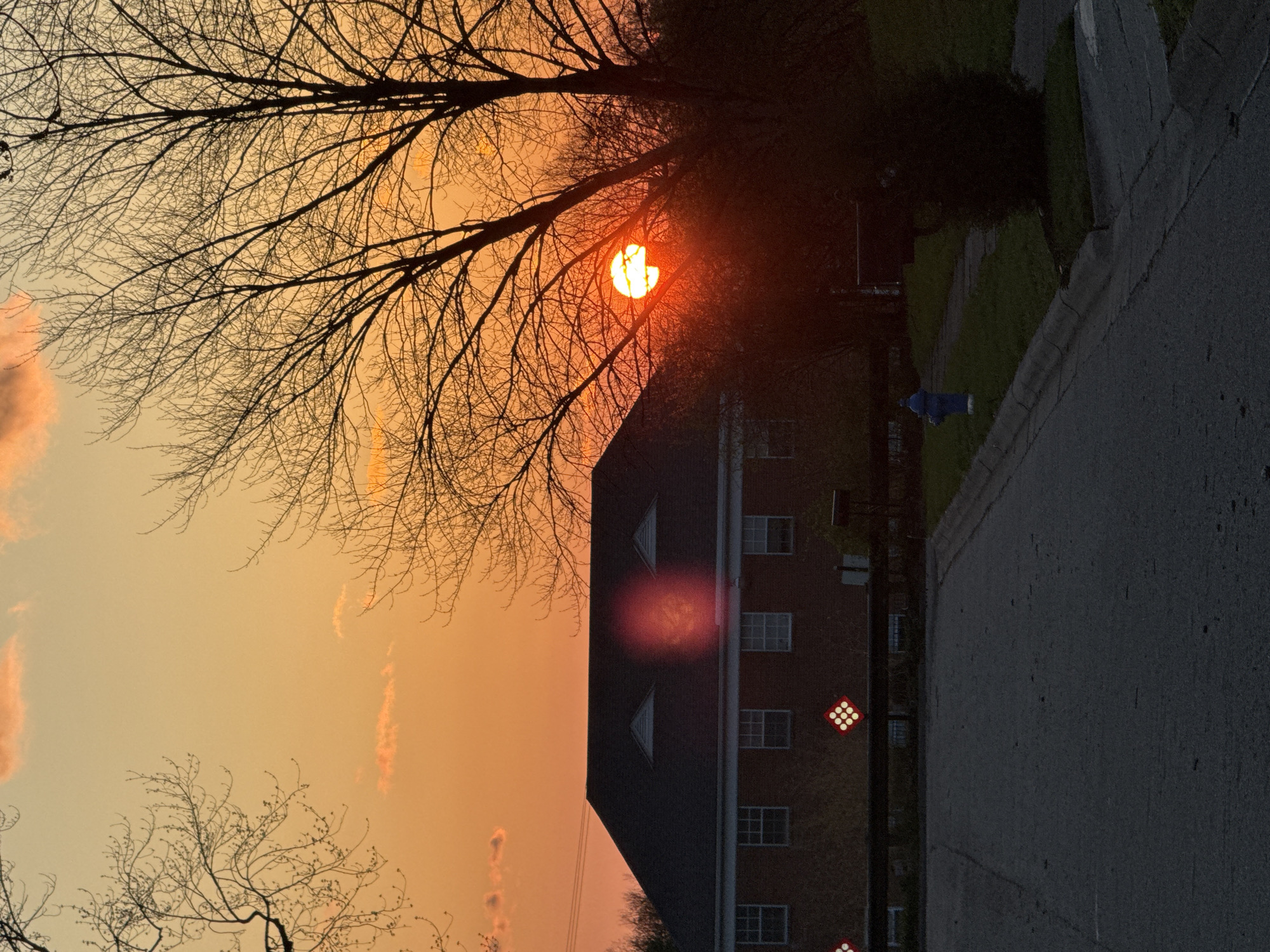 Sunset silhouette captured through bare tree branches in Worthington