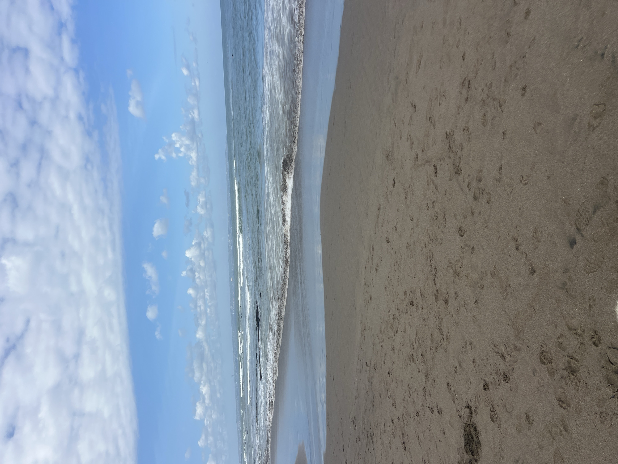 Dogs, surfers, and beanbag chairs on a North Kuta beach