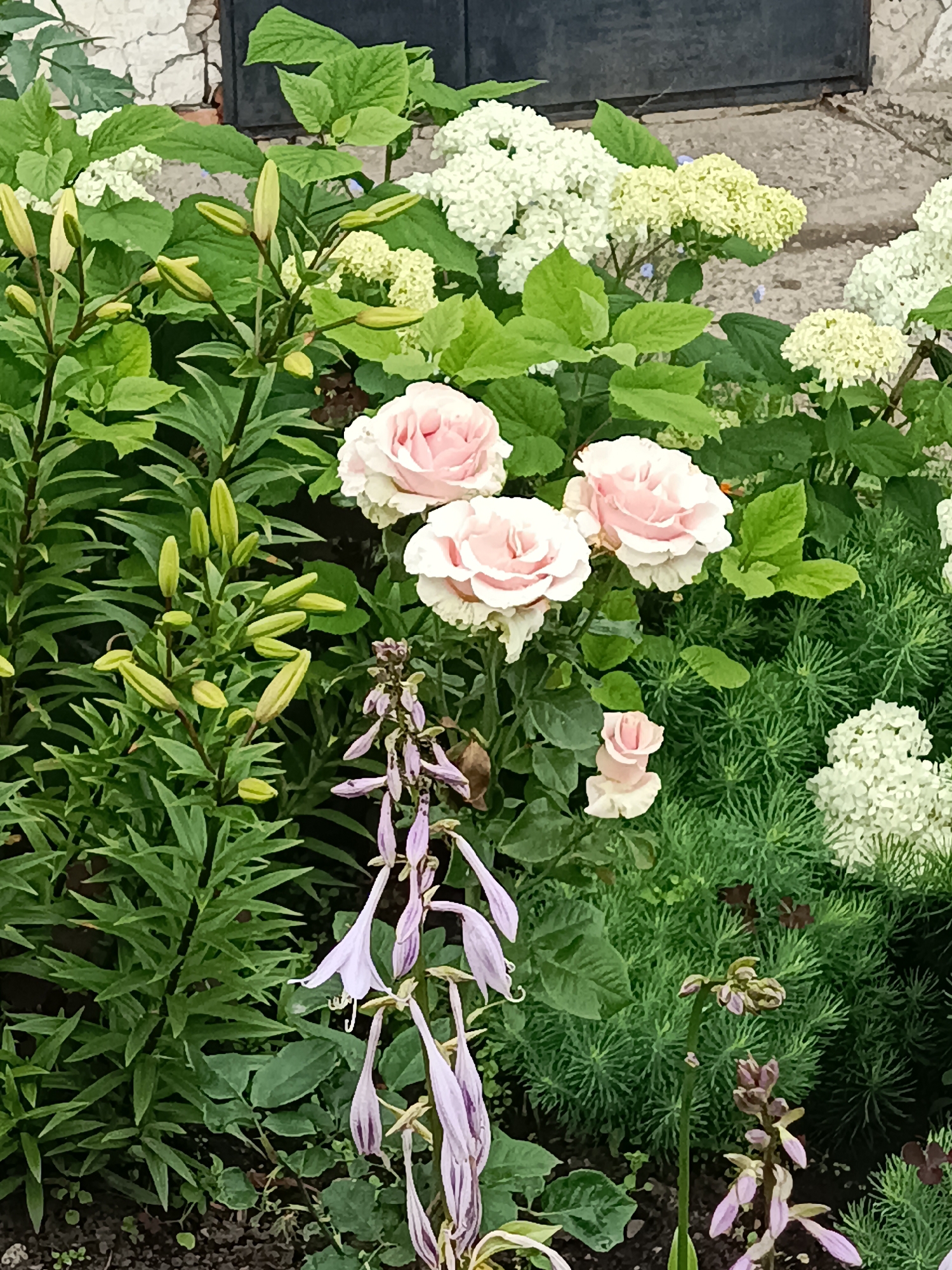 Summer morning in Posad: gardens, a woodland path, and a mural