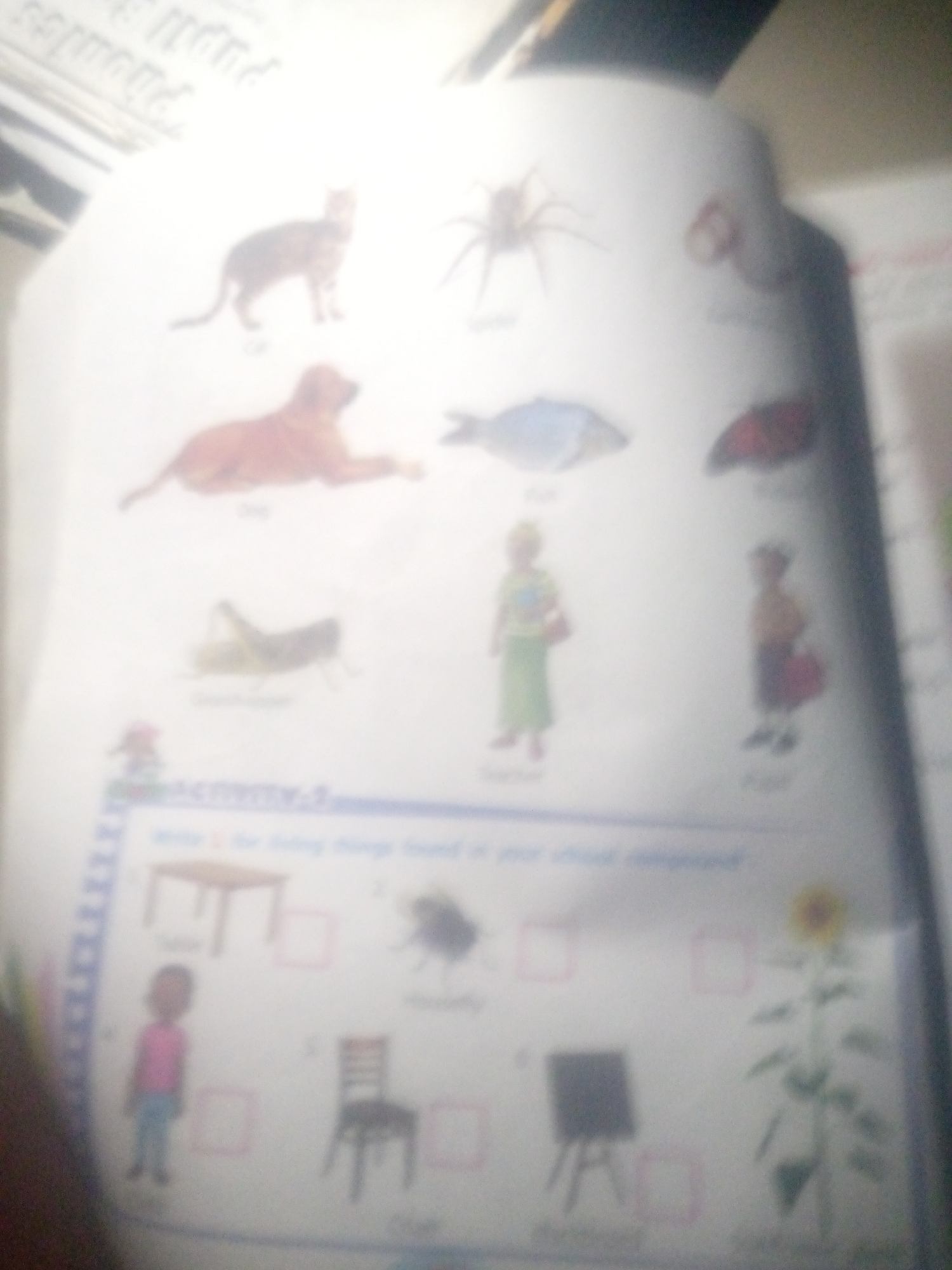 Flipping through a children's educational workbook, page by page