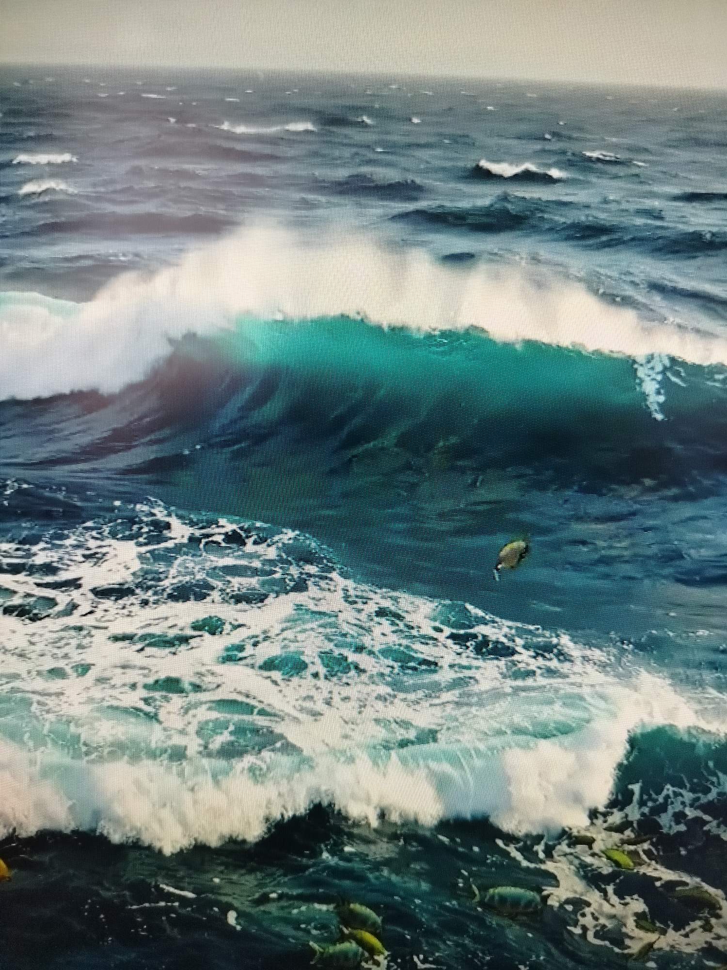 Varied water scenes, from stormy ocean to tranquil koi ponds