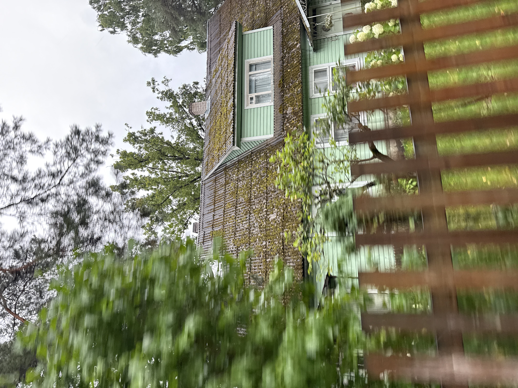 Rainy drive through a wooded Tallinn residential neighborhood