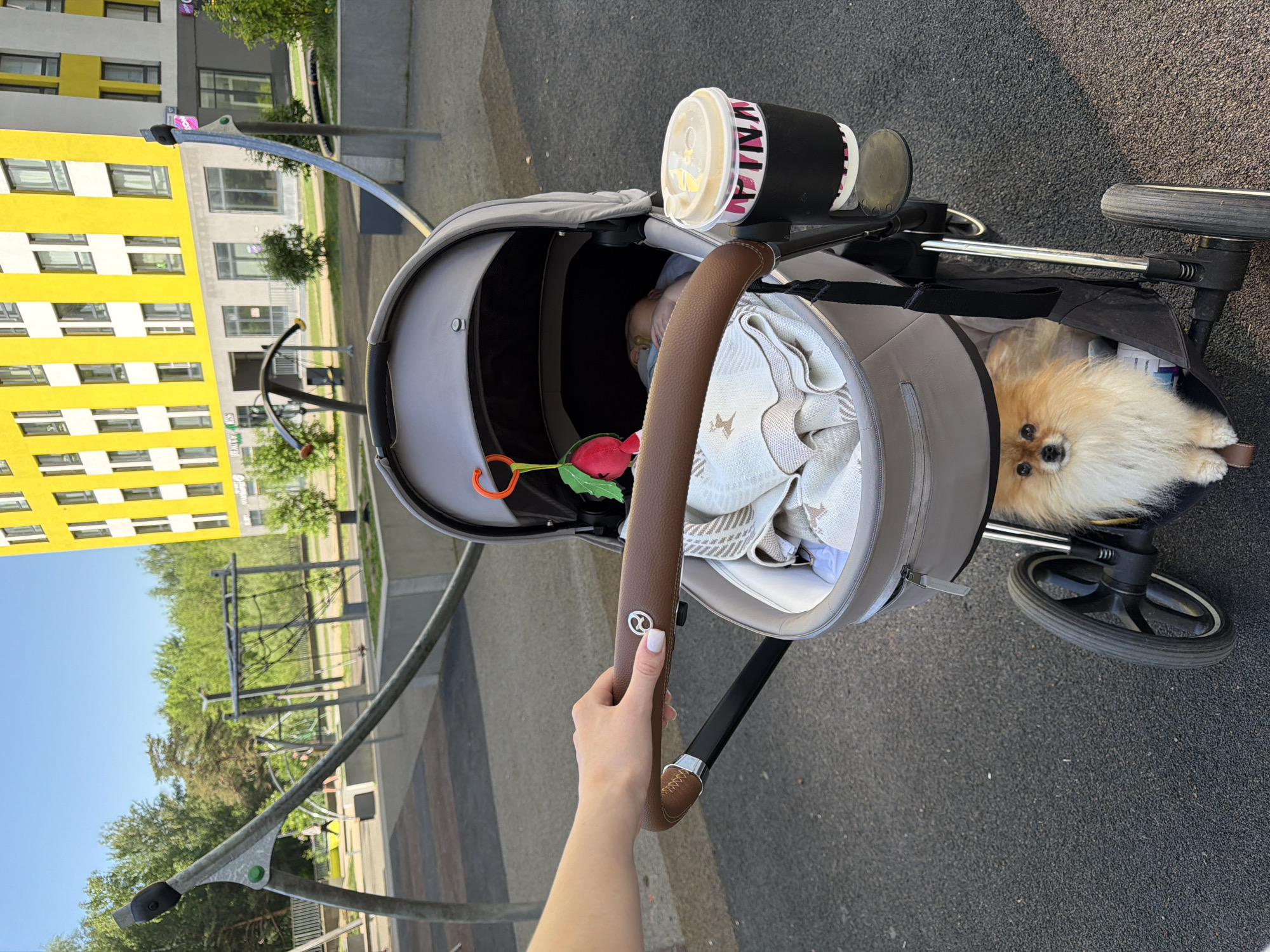 Morning stroll with baby, dog, and coffee in Khimki