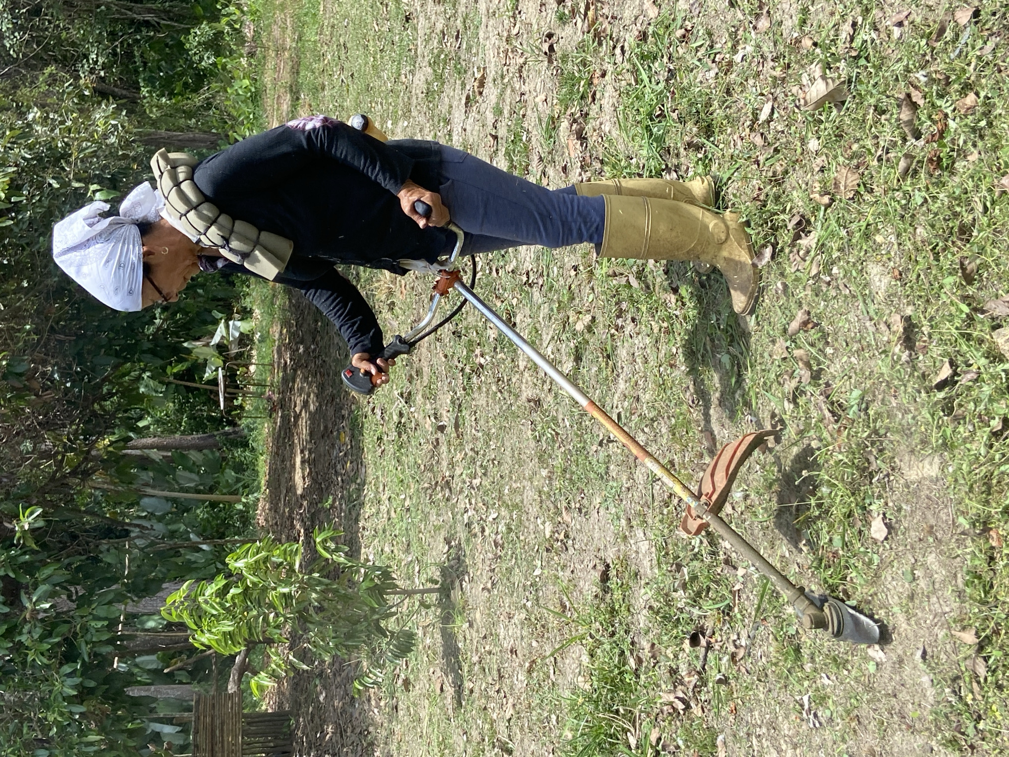 Woman operates string trimmer in Venezuelan field