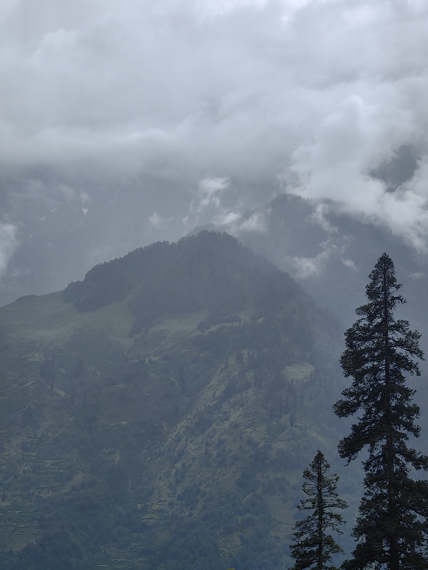 Foggy morning in Solang Valley, mountains wrapped in cloud