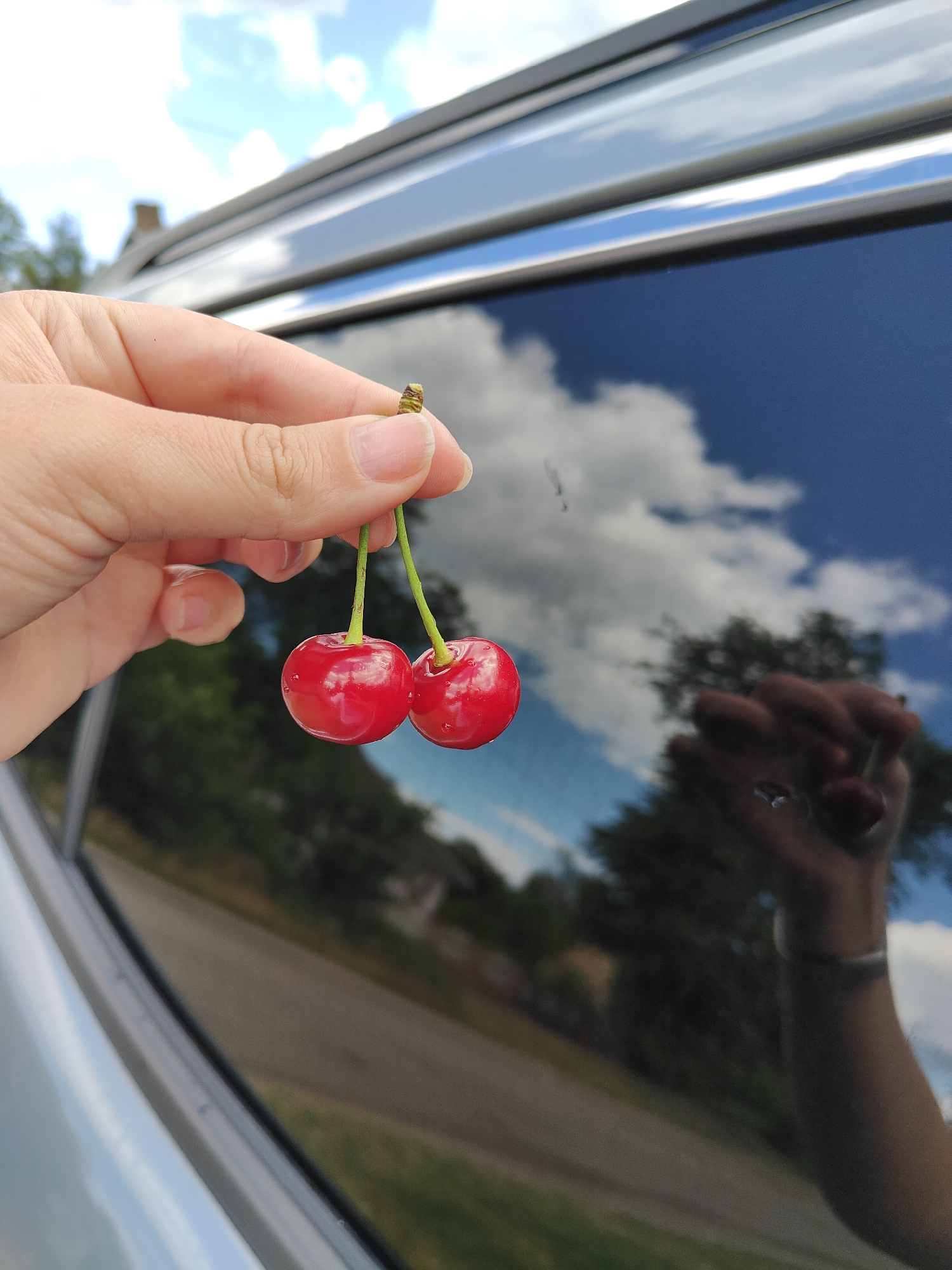 Fresh cherries and a sunny backyard water play session