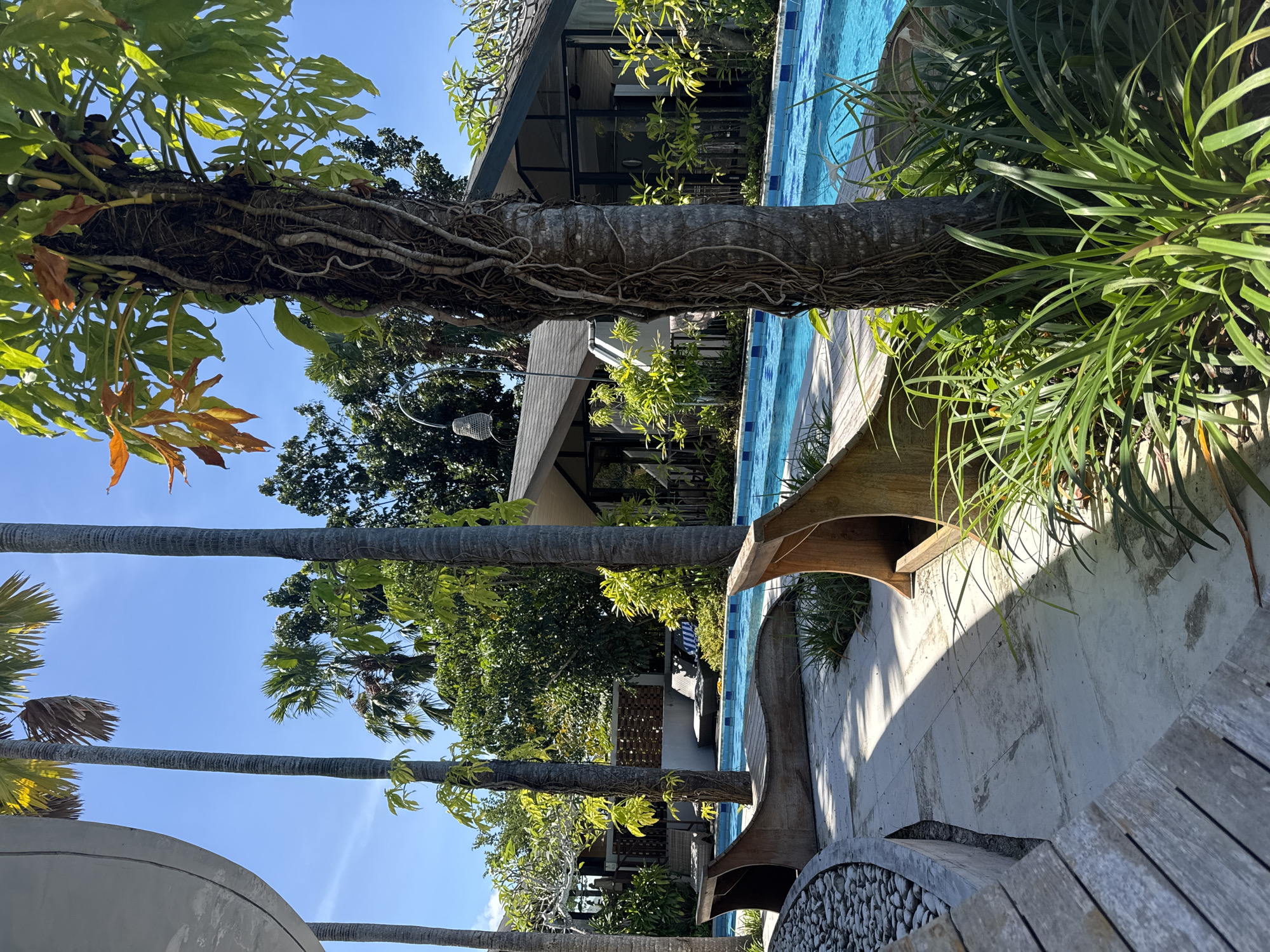 Tropical poolside morning captured in Indonesia