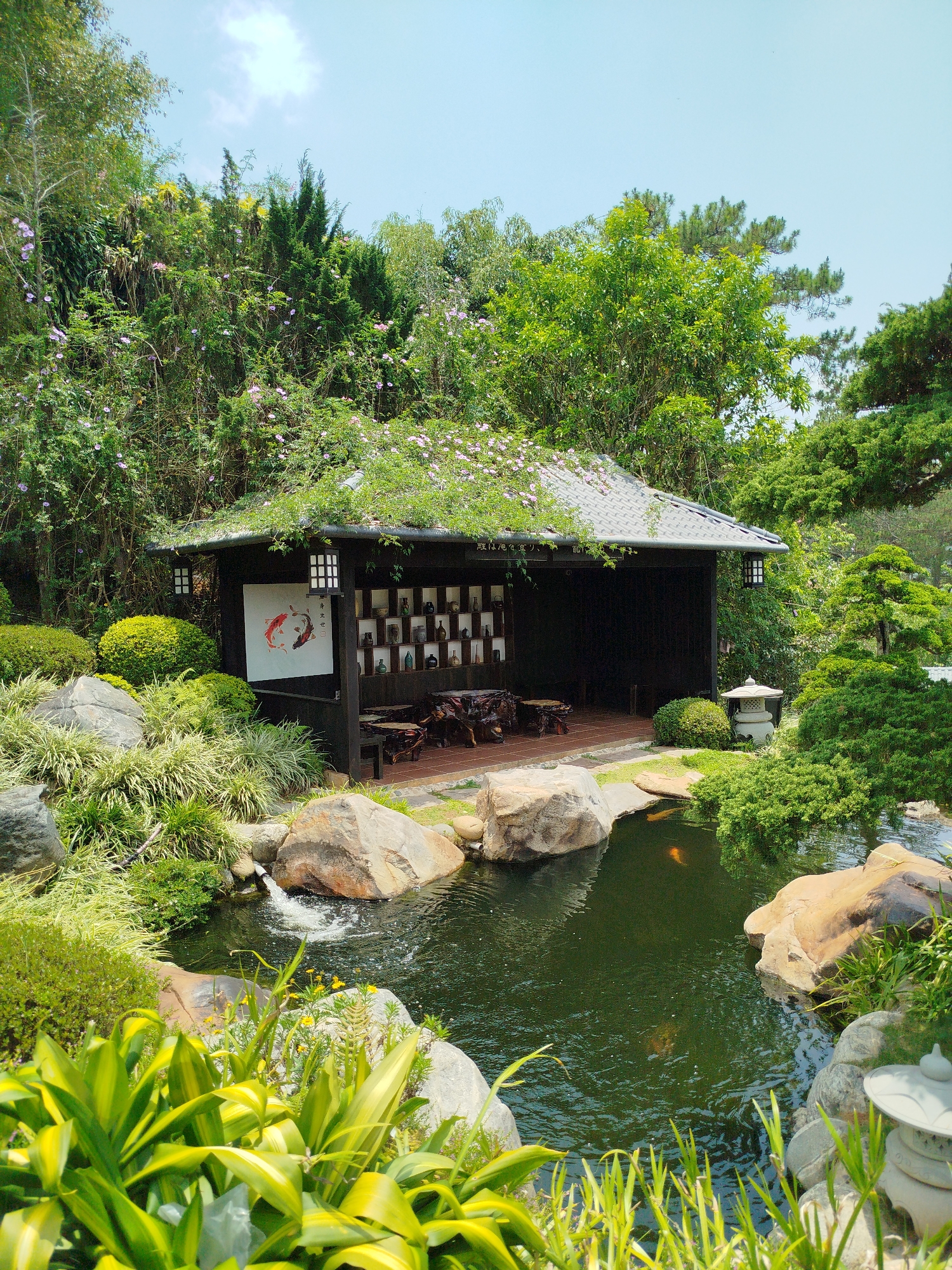 Japanese garden scenes documented in Đà Lạt Vietnam
