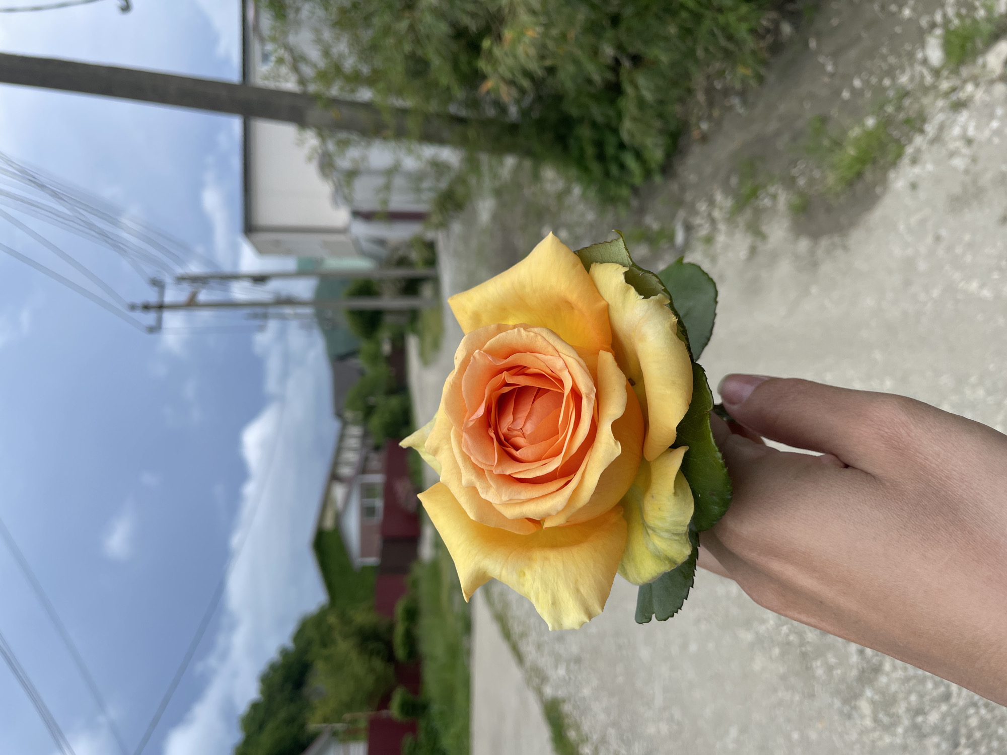 Village life documented in Olginka, Russia through everyday moments