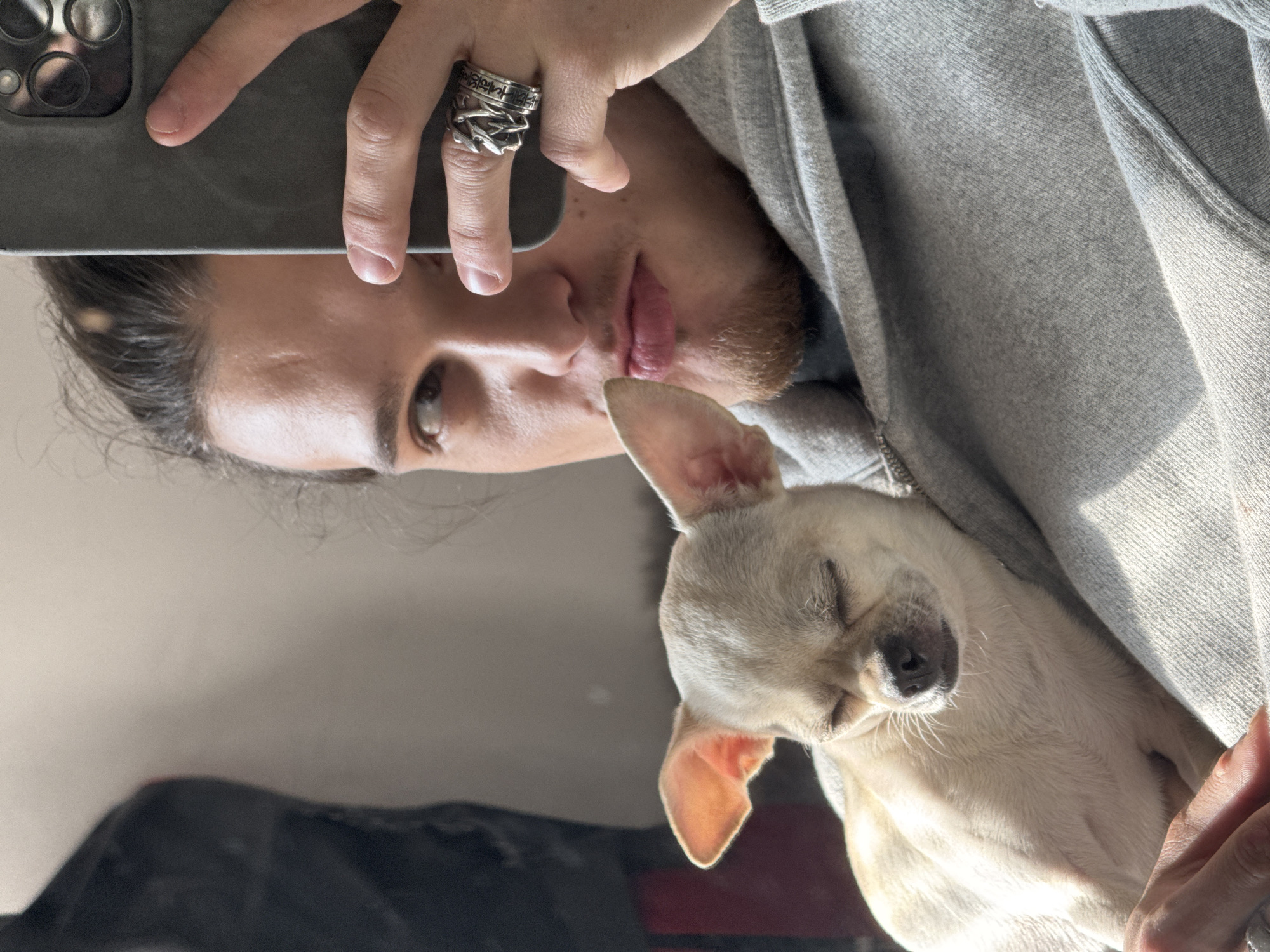 Person takes selfies with sleeping chihuahua in Sofia