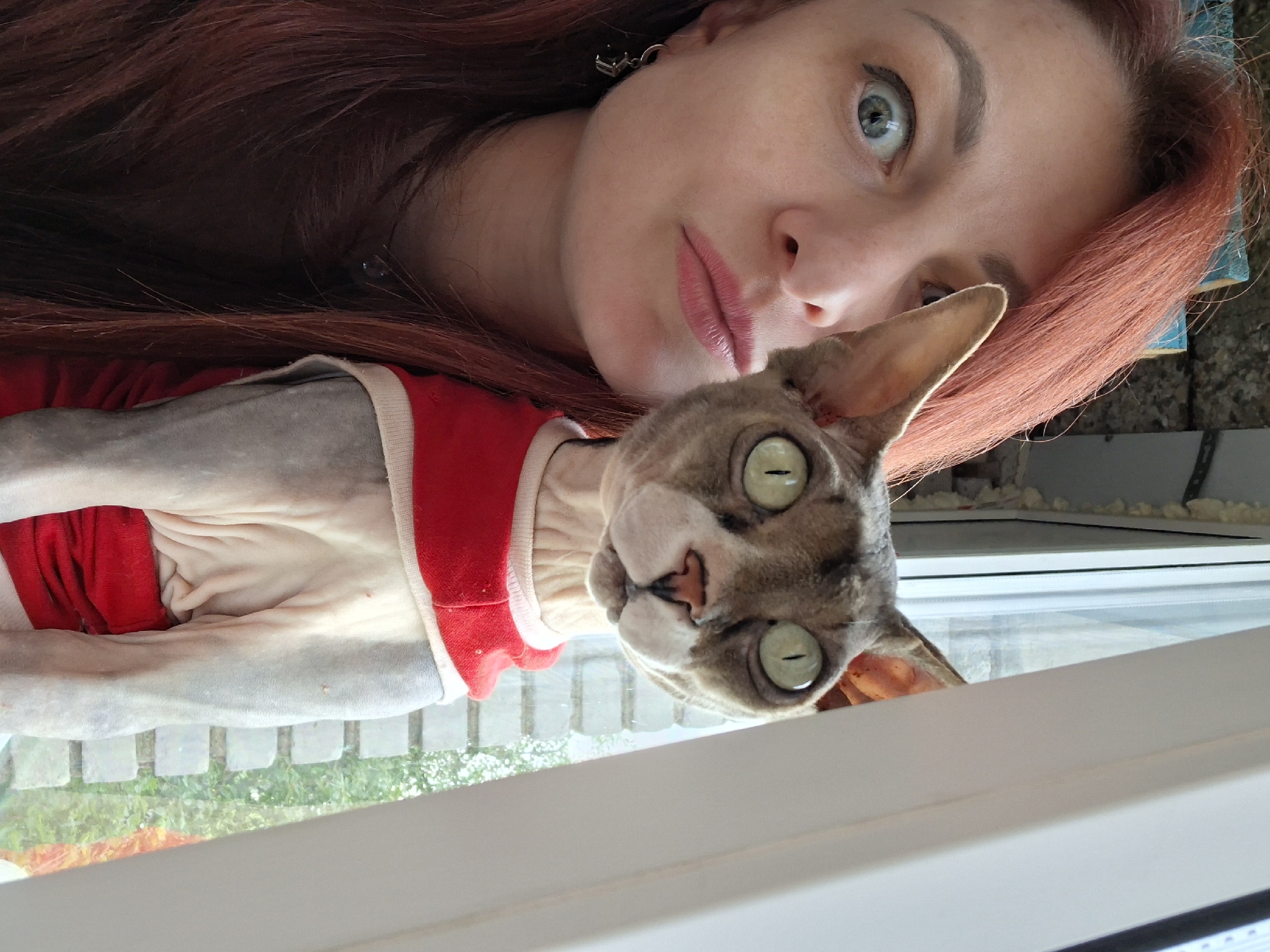 Woman documents quiet afternoon with cats in rural Belarus