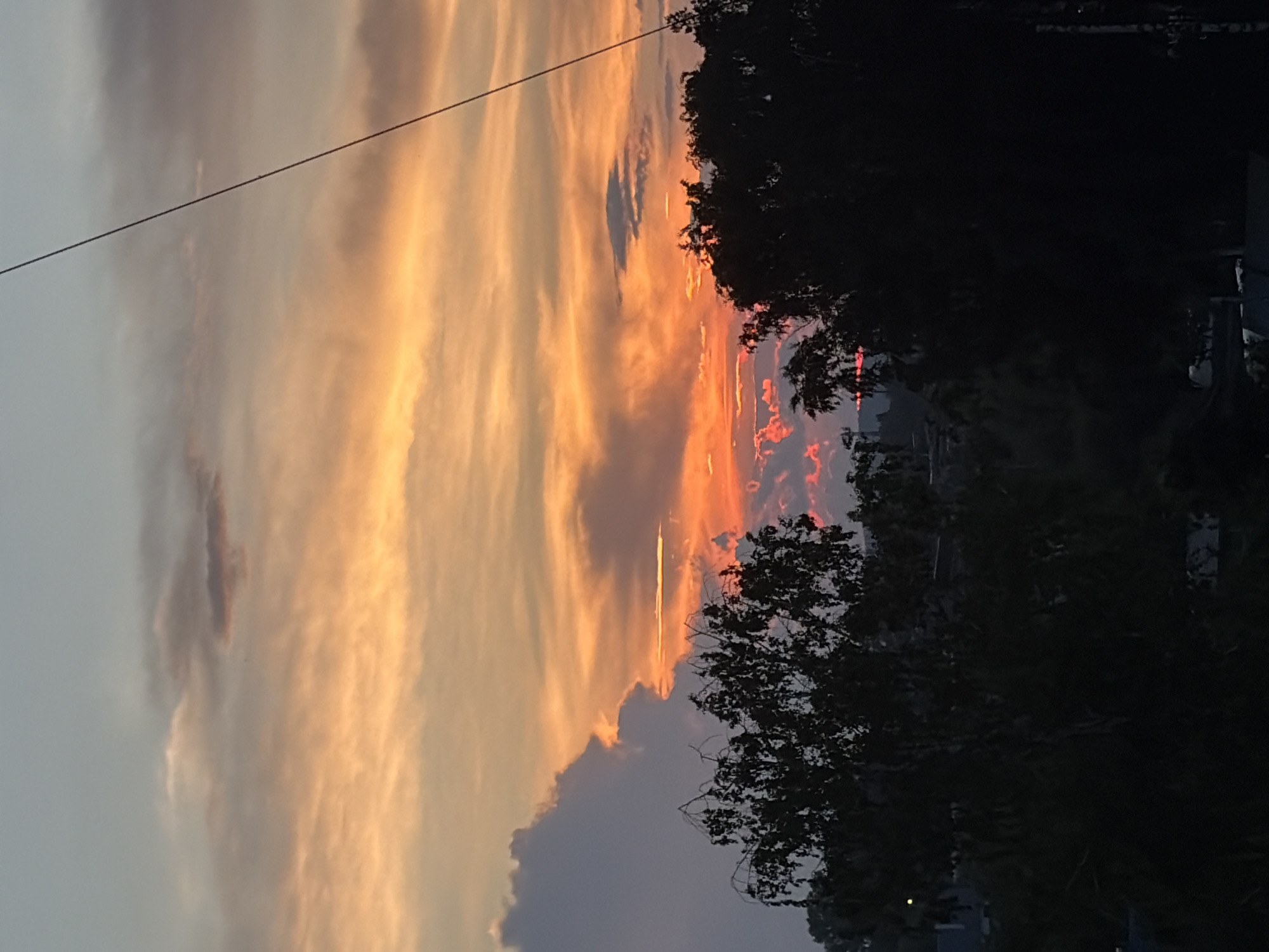 Evening scenes around Chaikovsky: sunsets, flowers, cats, forest walks