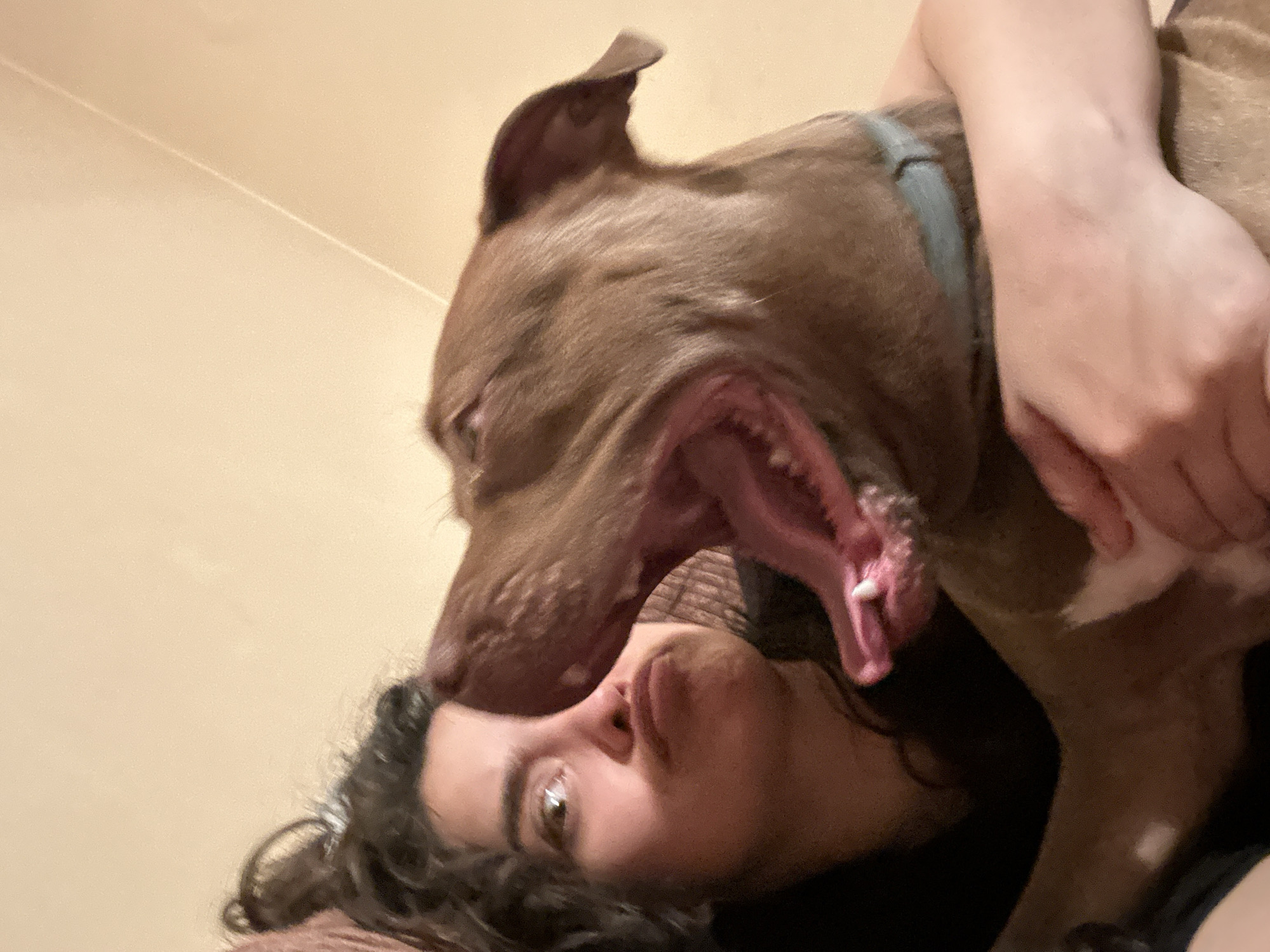 Woman takes playful selfies with pit bull on couch