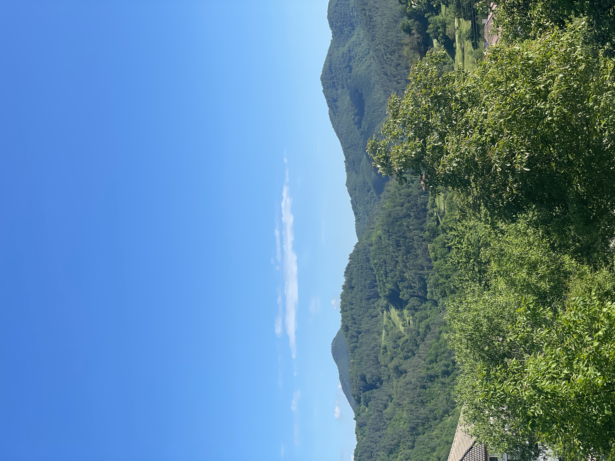 Witness documents peaceful rural scenes in Zhaltusha, Bulgaria