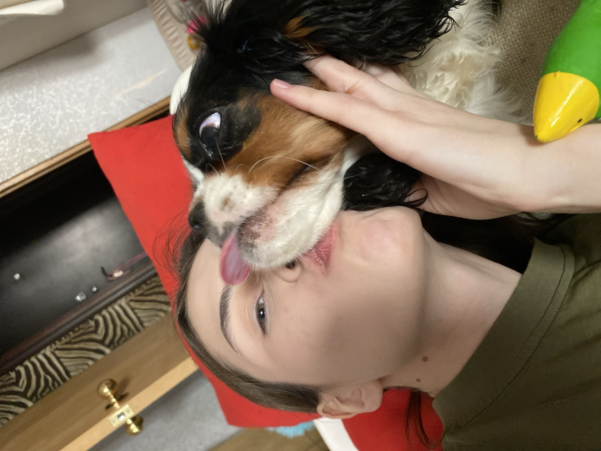 Woman shares tender moments with Cavalier King Charles Spaniel