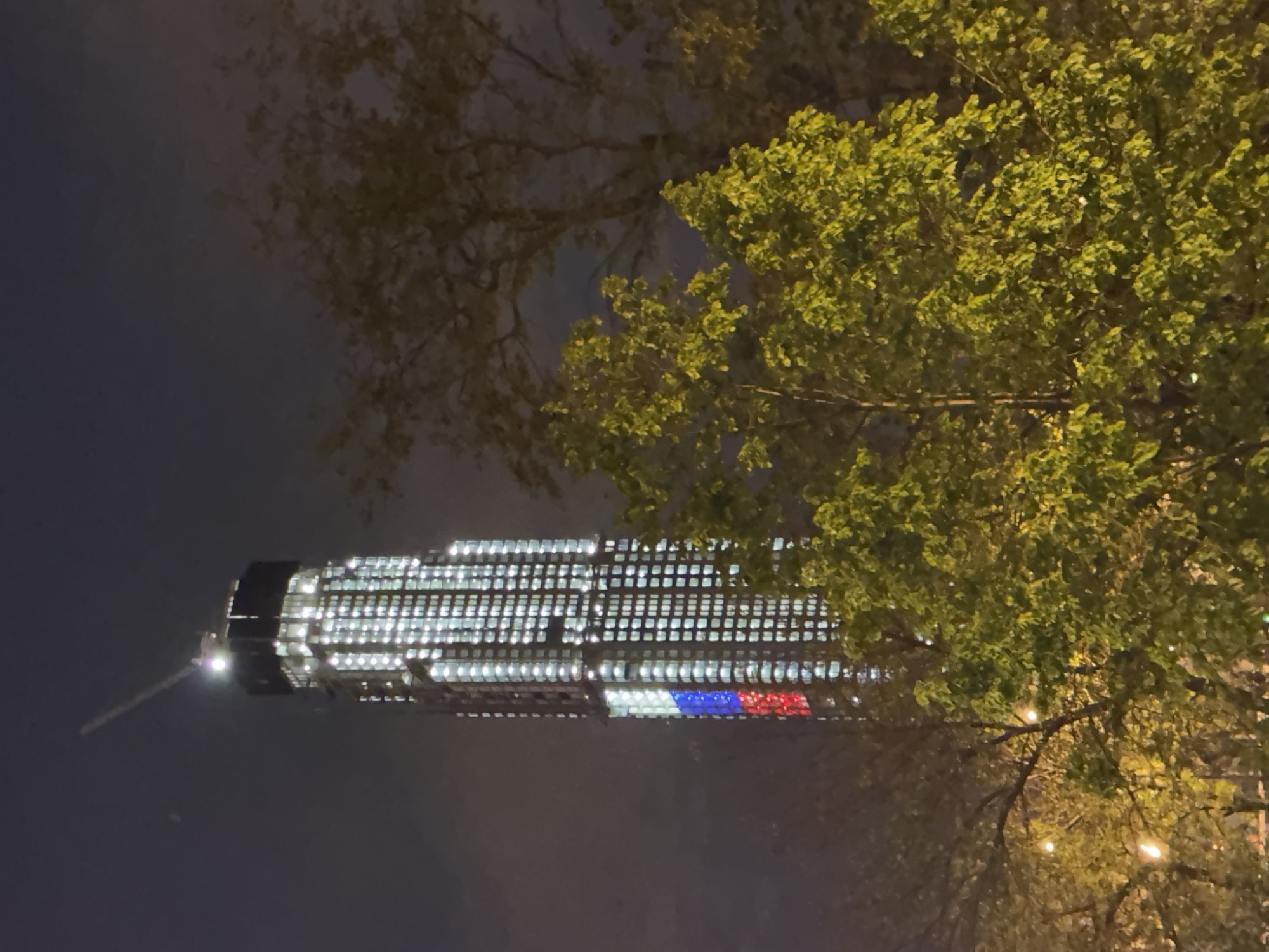 Moscow Evening: Skyscraper Lights, Indoor Meditation, Urban Greenery