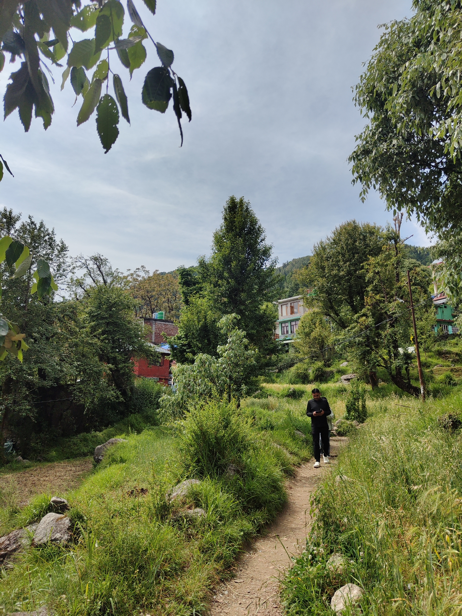 Morning life documented in Dharamkot's streets, cafes, prayer flag sites