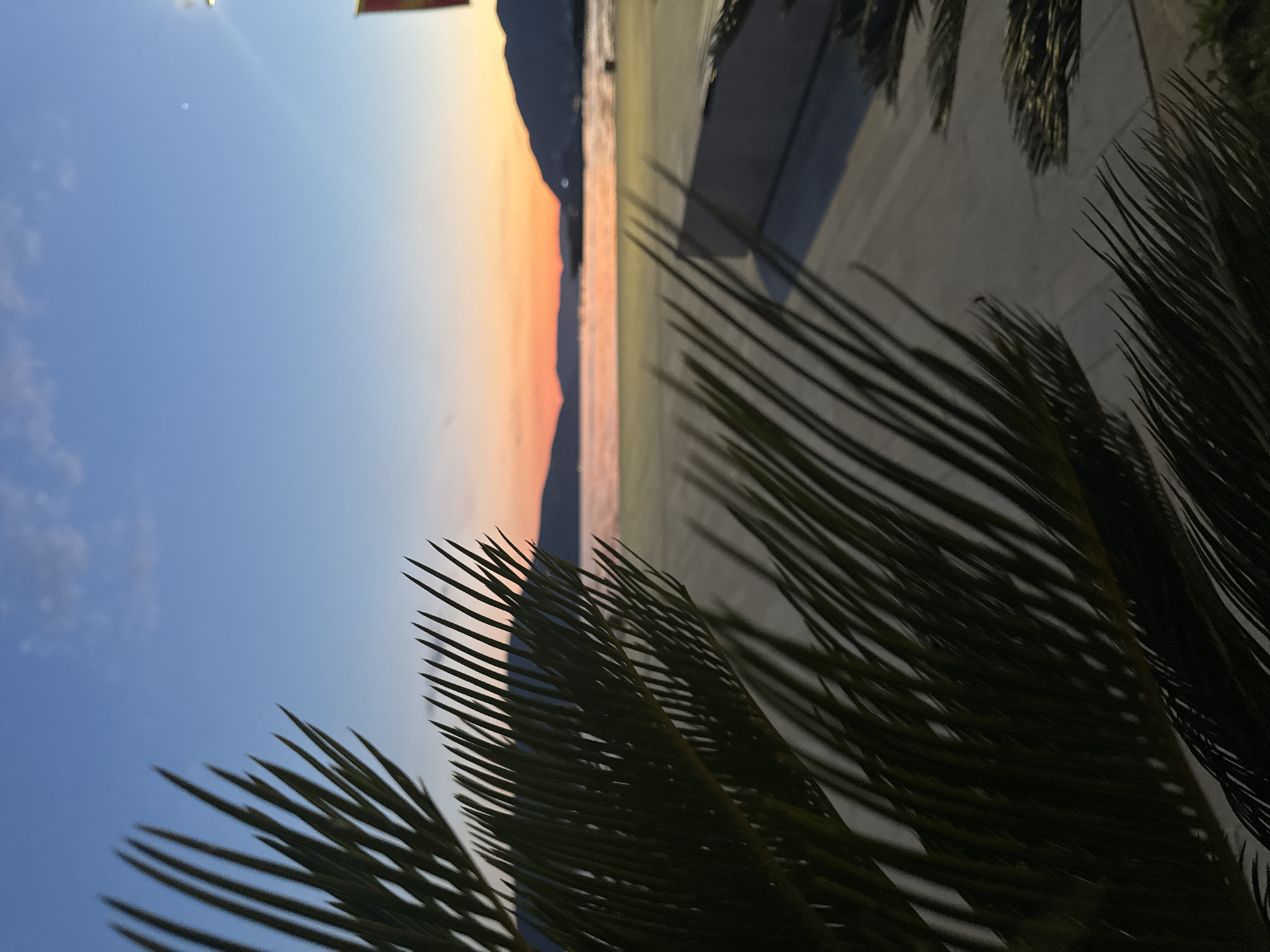 Sunset captured over Tivat waterfront with yachts and palms