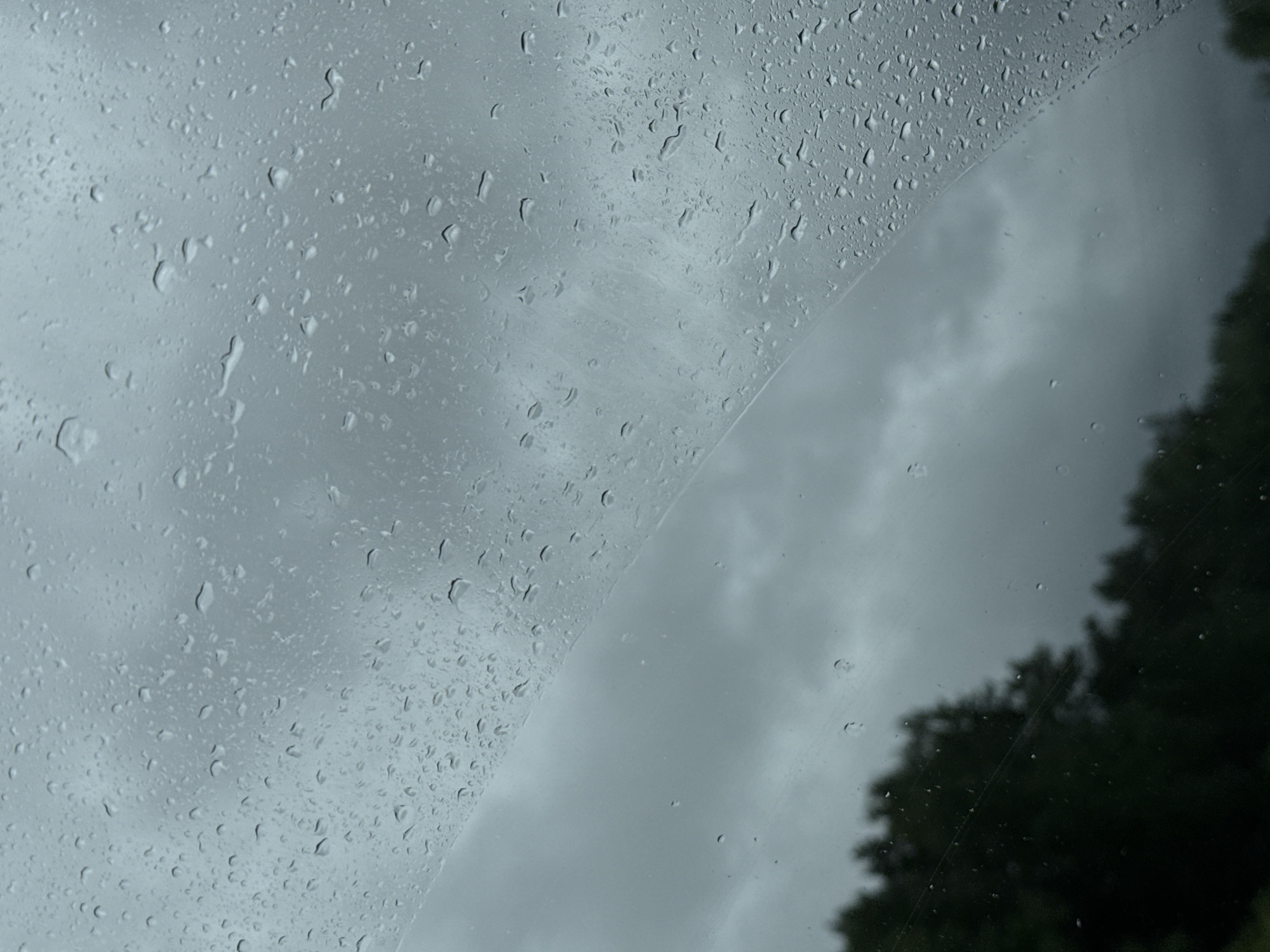 Vehicle memories captured during rainy morning in Novyi, Russia