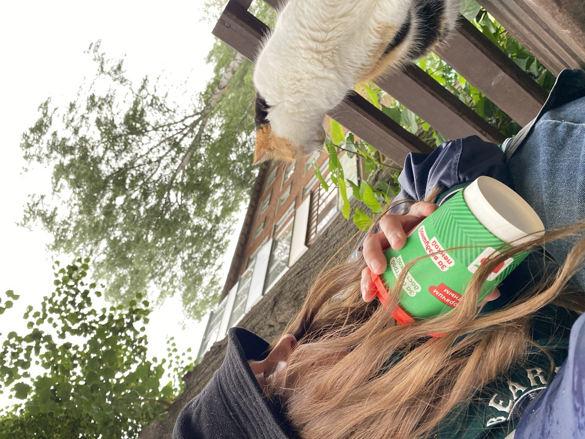 Calico cat hangs out with its owner in Votkinsk park