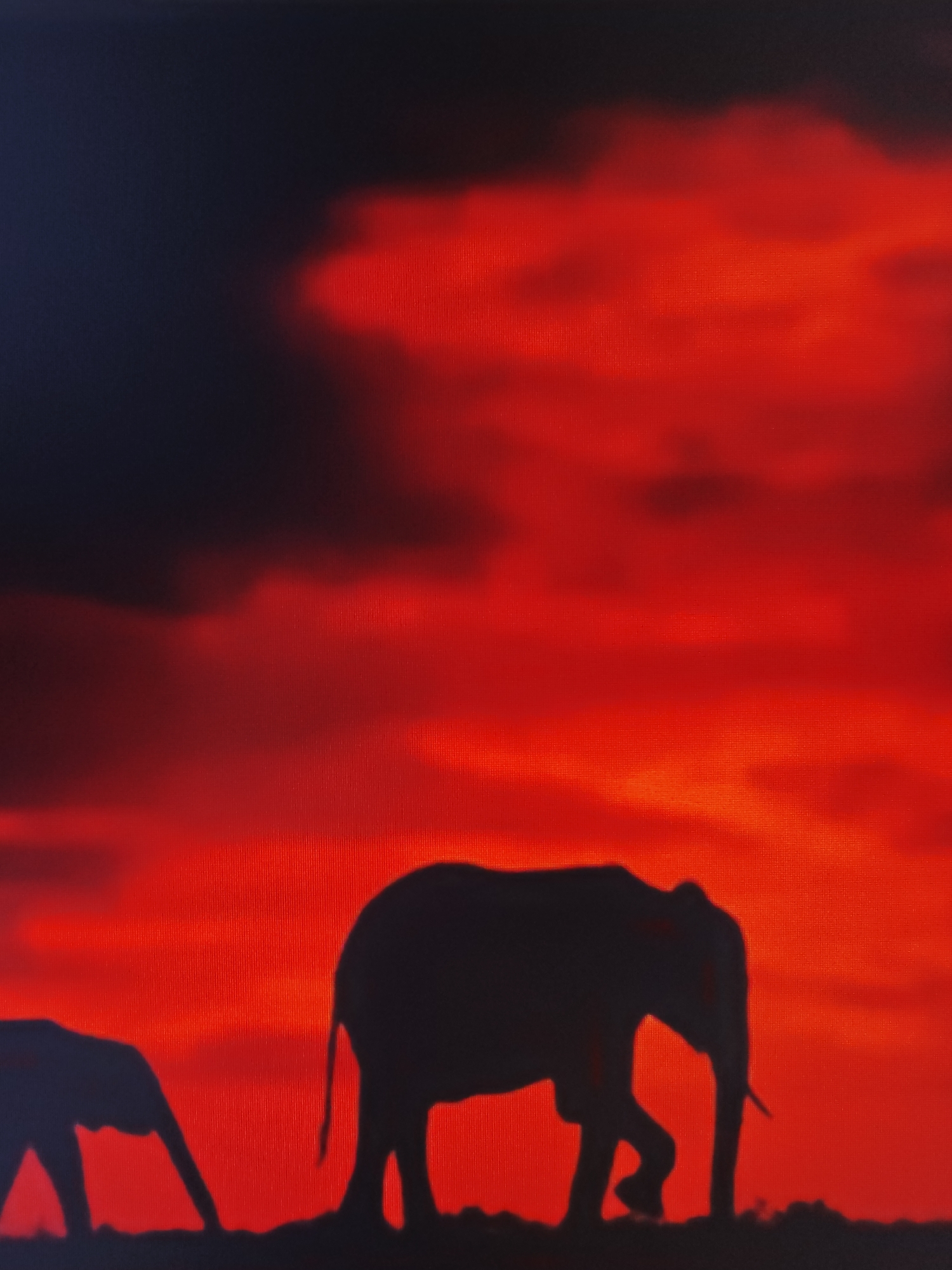 Figurines, a cat, and sunset shots from a Tsarevo evening