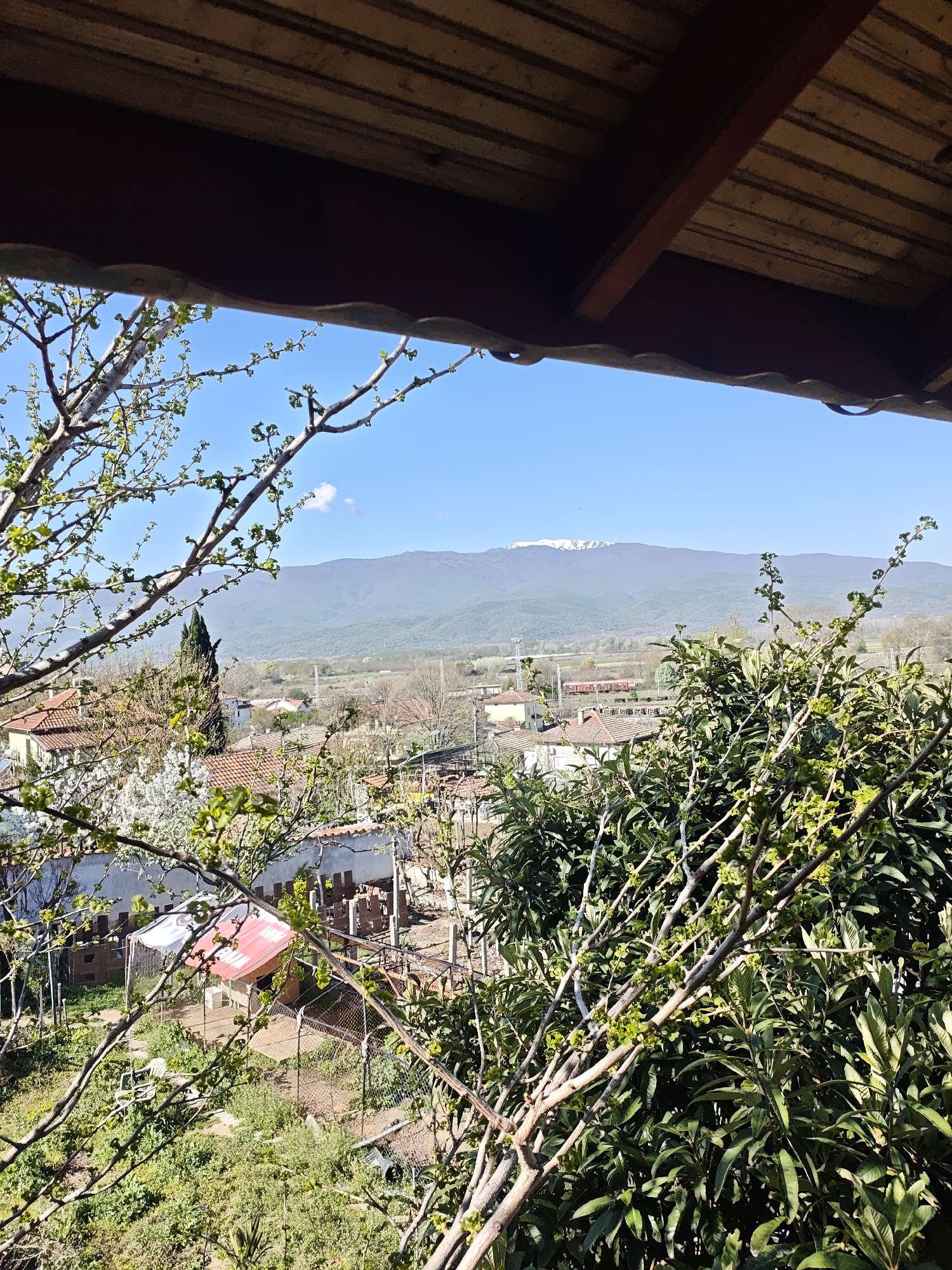 Morning domestic scenes captured from balcony and windowsill views