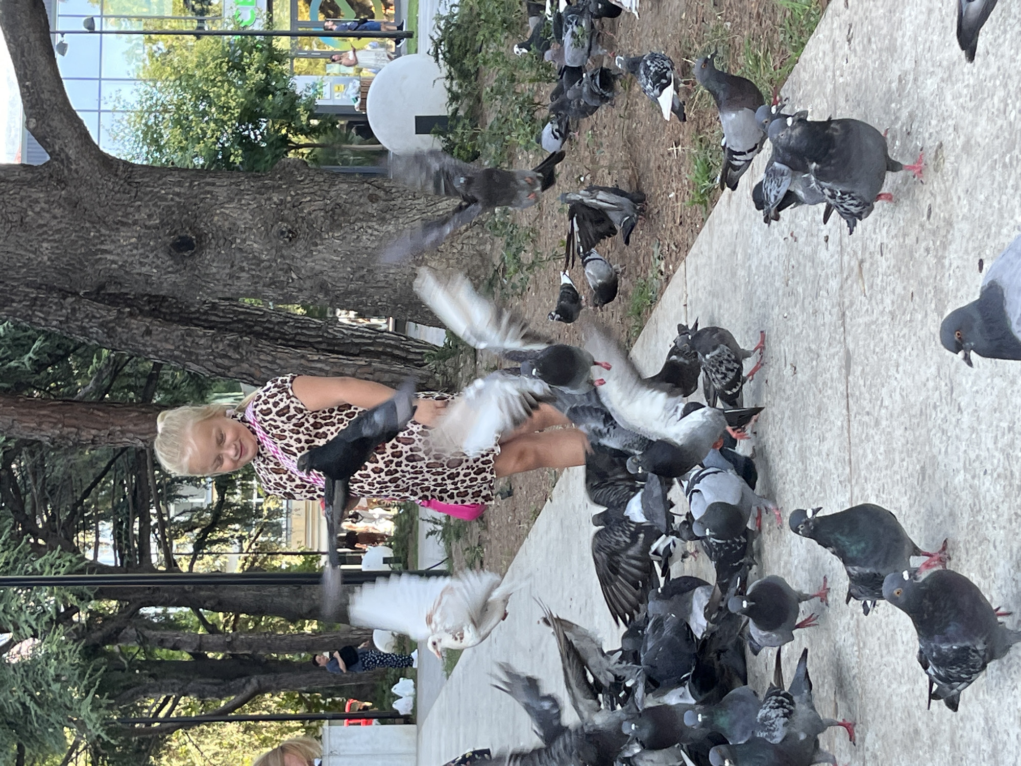 Feeding pigeons on a city walkway