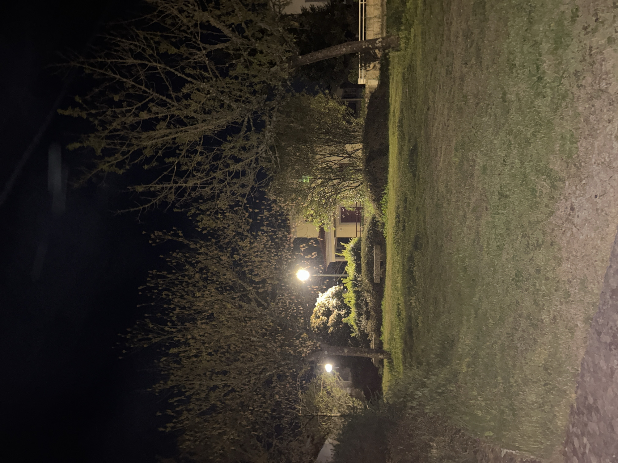 Evening documentation in Vila Real includes selfies and street scenes
