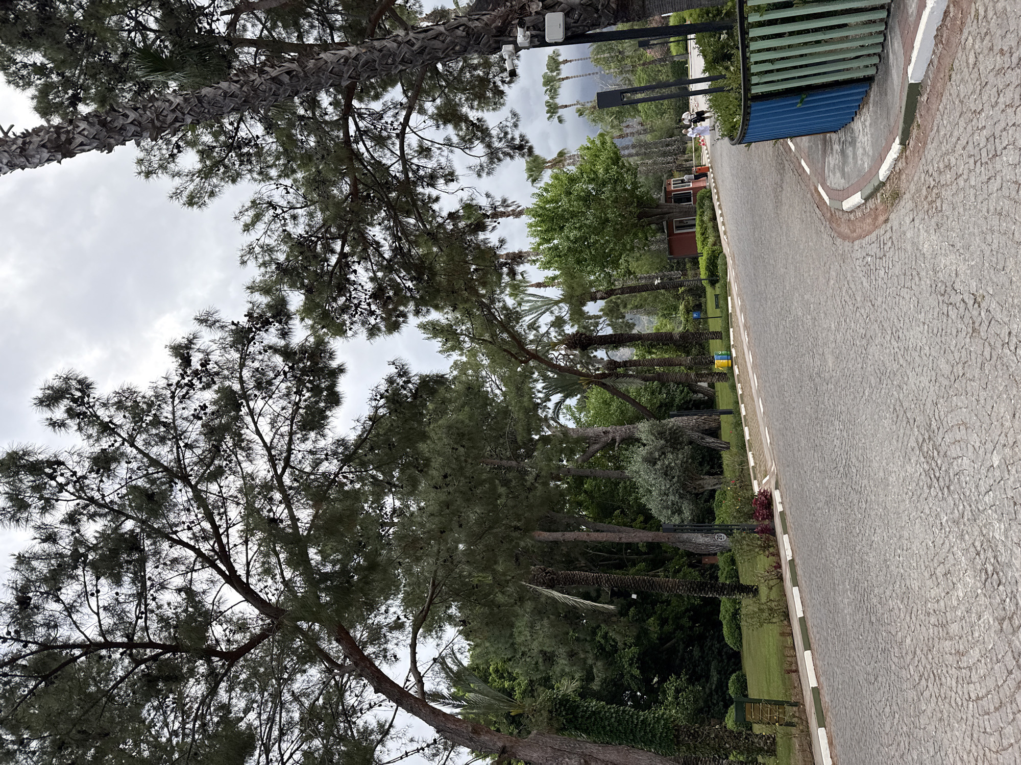 Tourist explores Kemer resort areas with tennis rackets