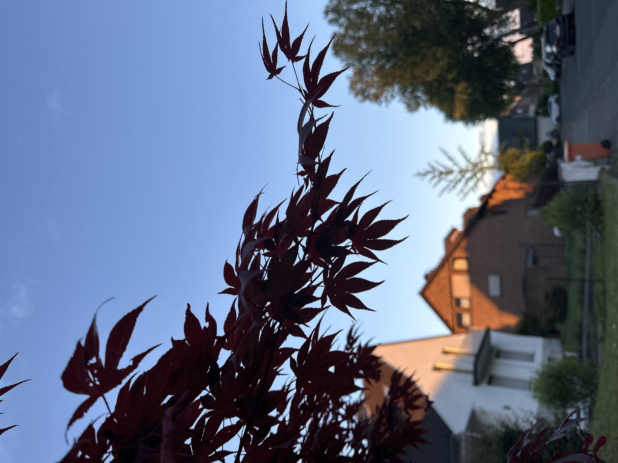 Daily life moments documented across Krefeld, Germany evening hours