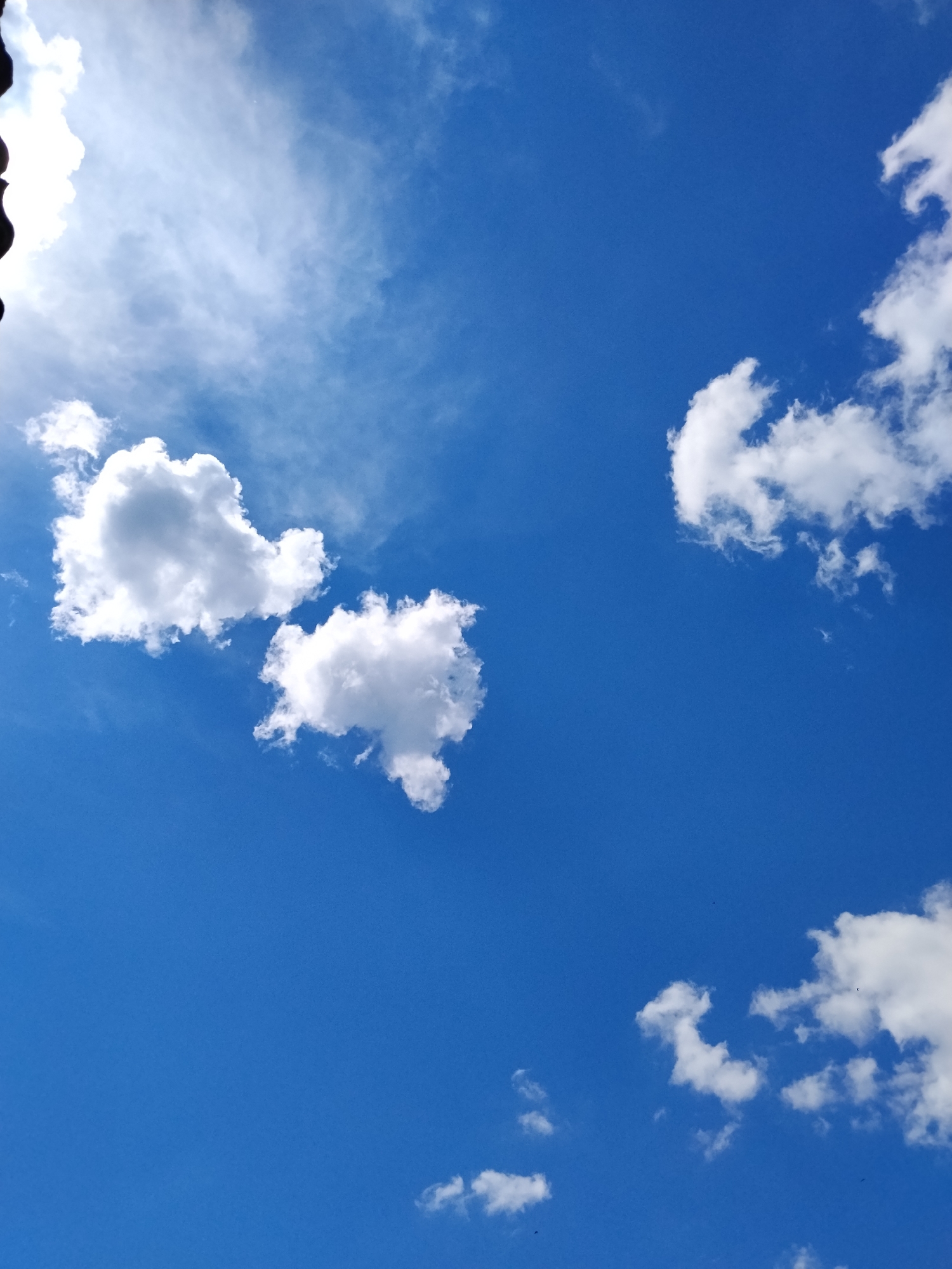 Morning sky observations recorded in Ustyvytsia, Ukraine show sunny conditions